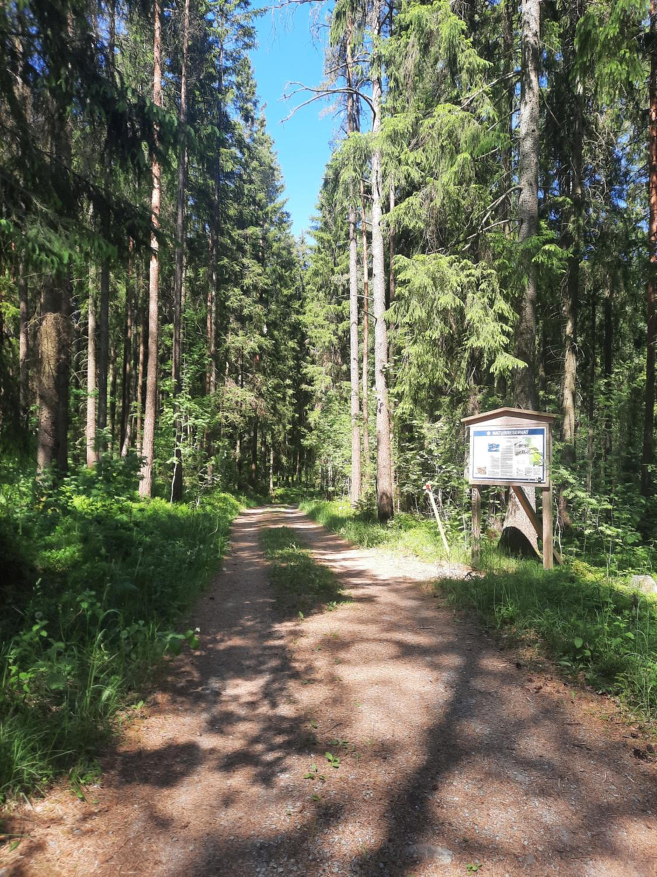 Hemtrevlig villa i Billingsfors