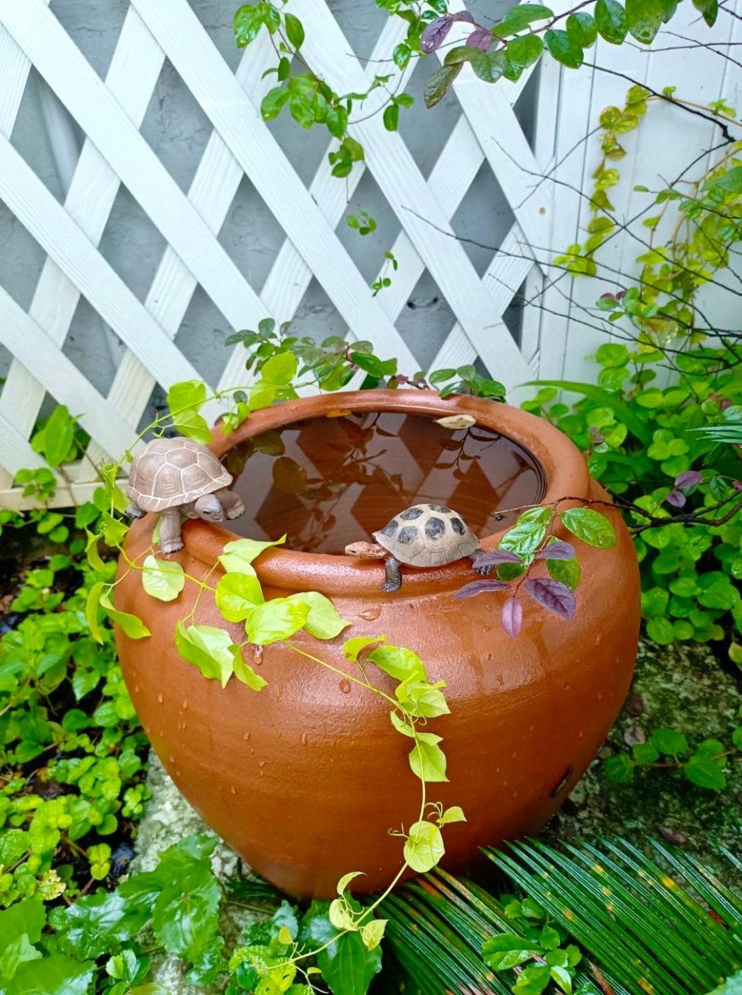 garden