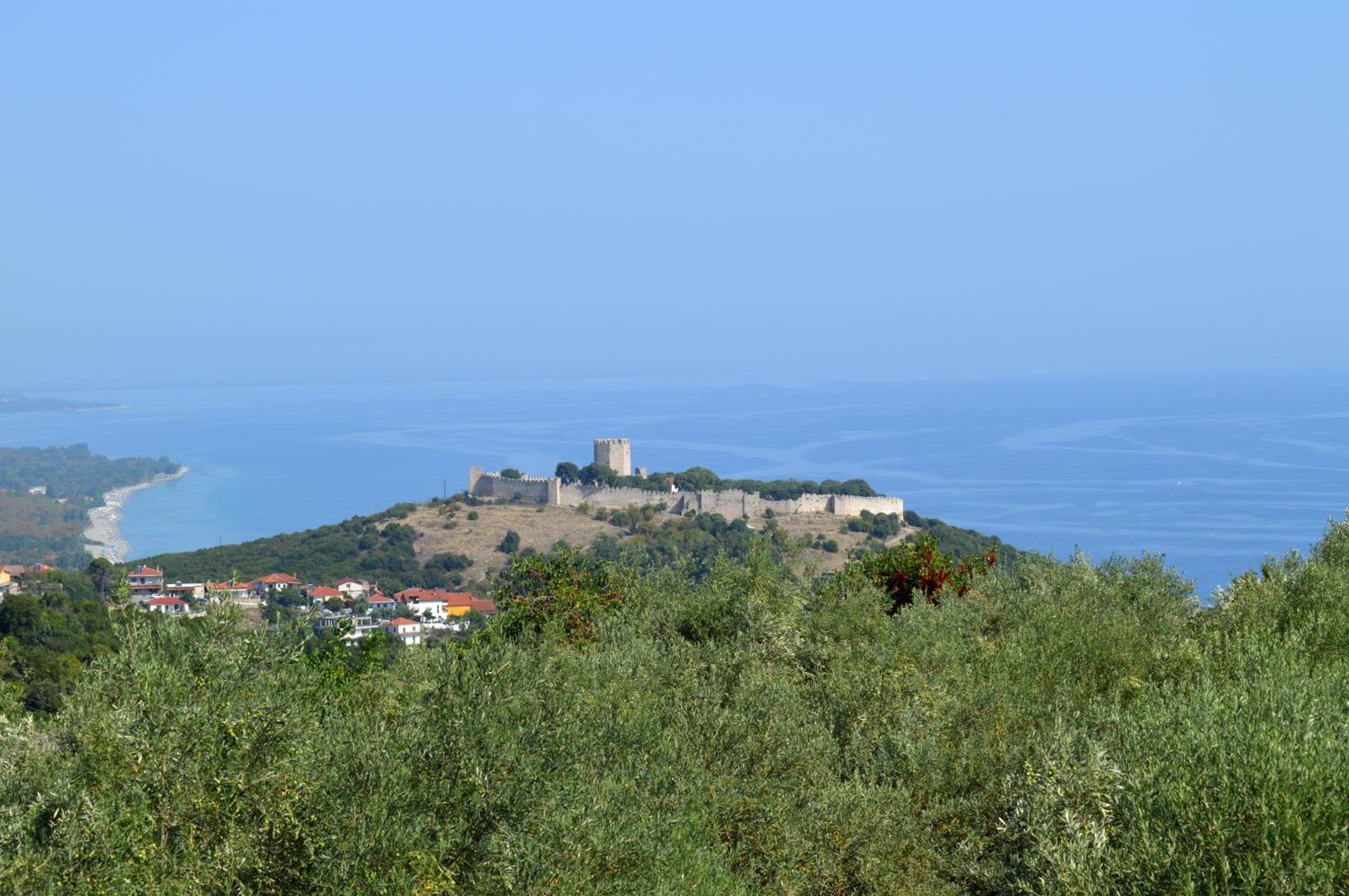 Photo 43
