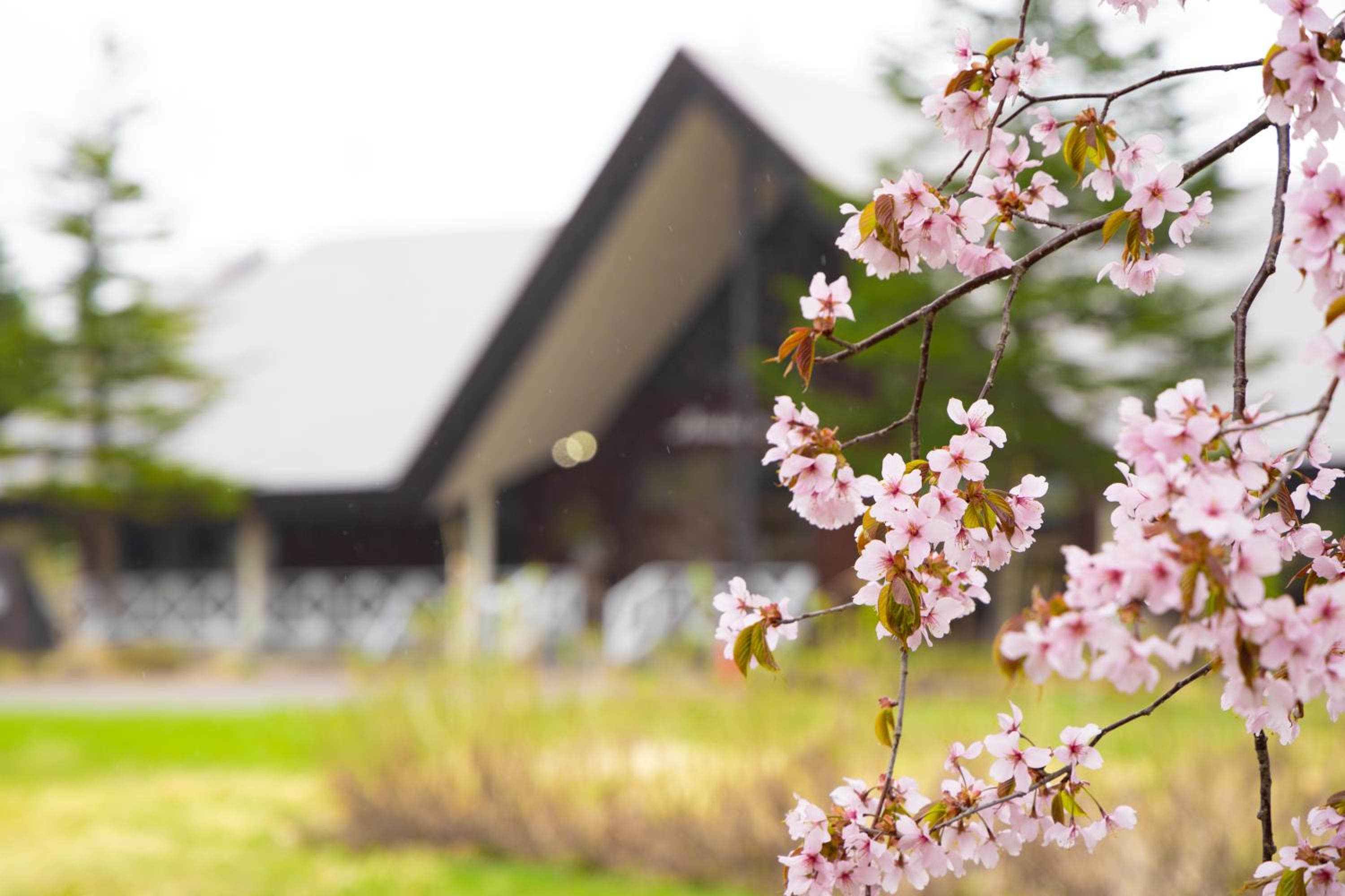Nature Cottage Akabeko