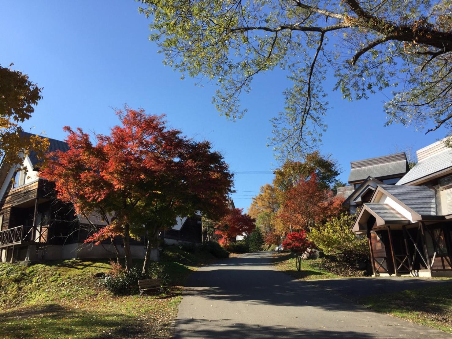 Nature Cottage Akabeko