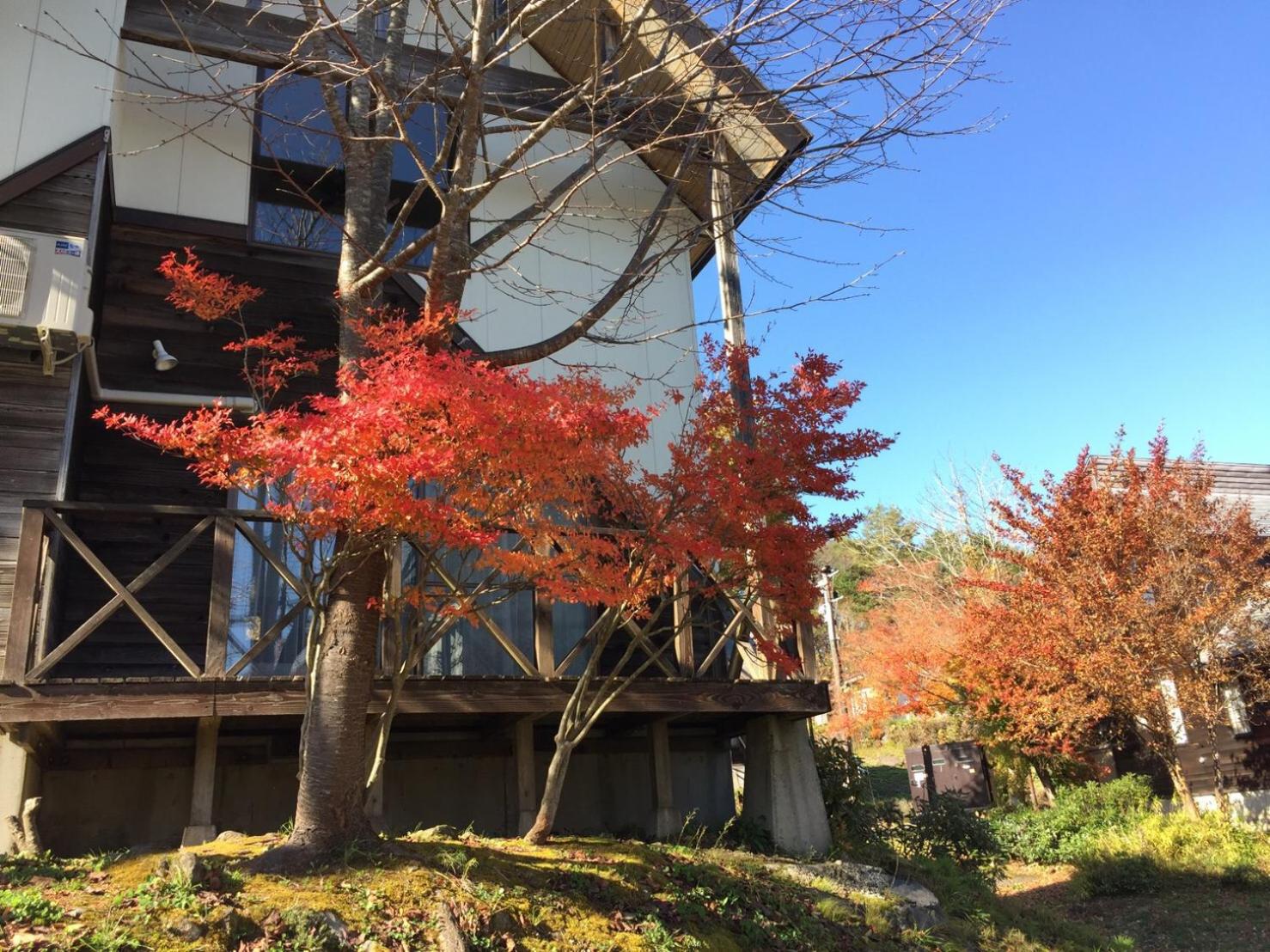 Nature Cottage Akabeko