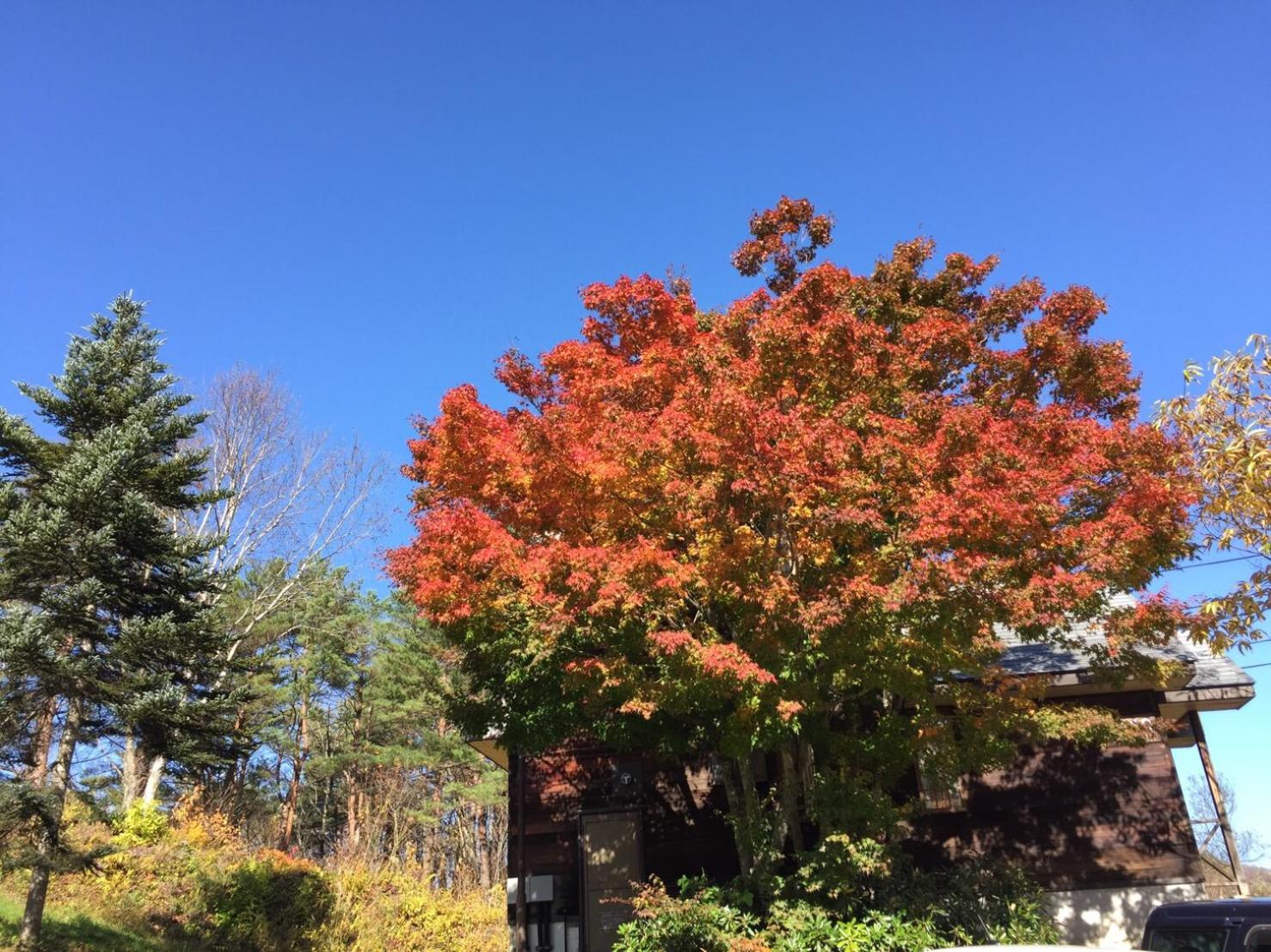 Nature Cottage Akabeko