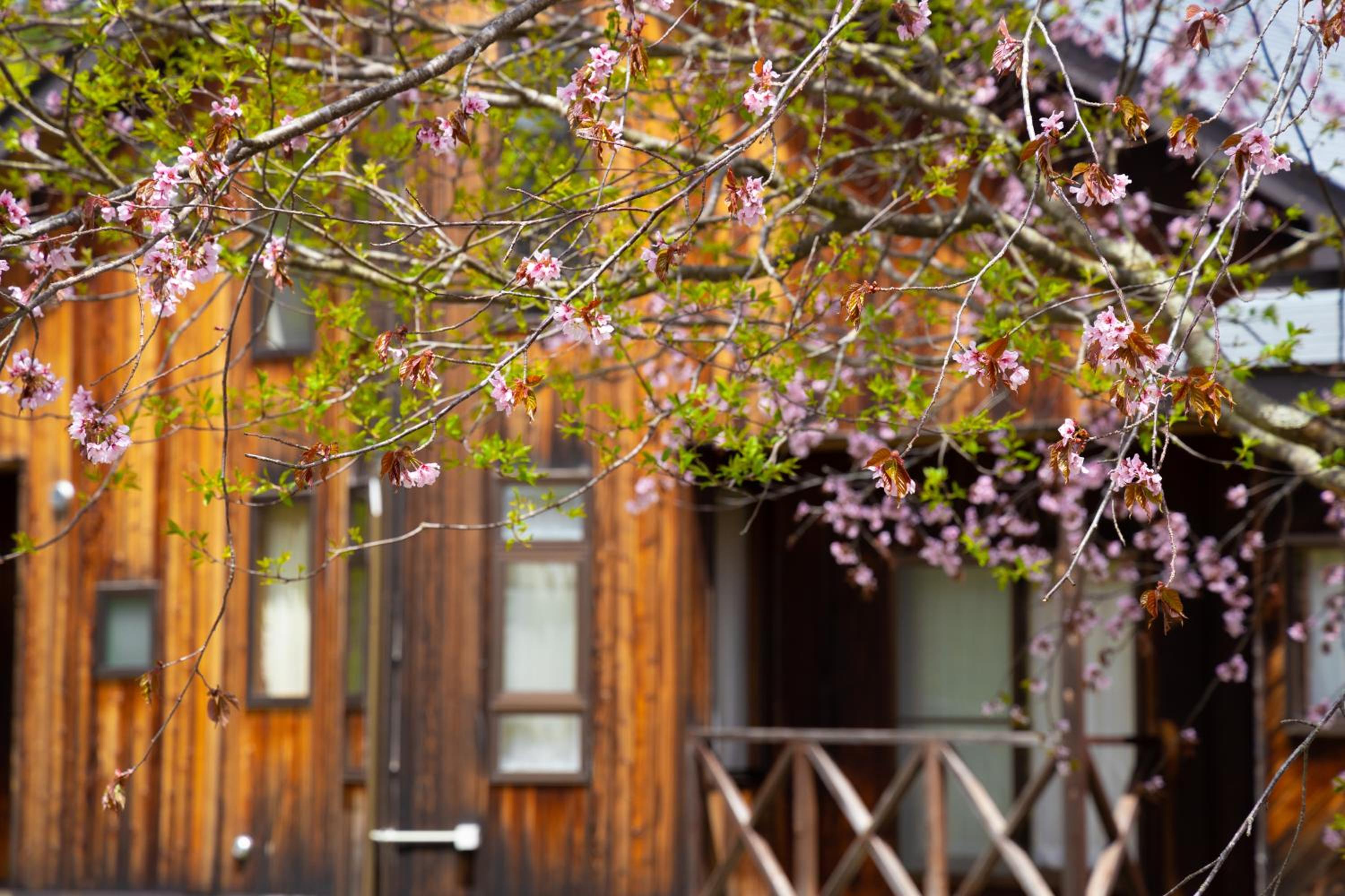 Nature Cottage Akabeko
