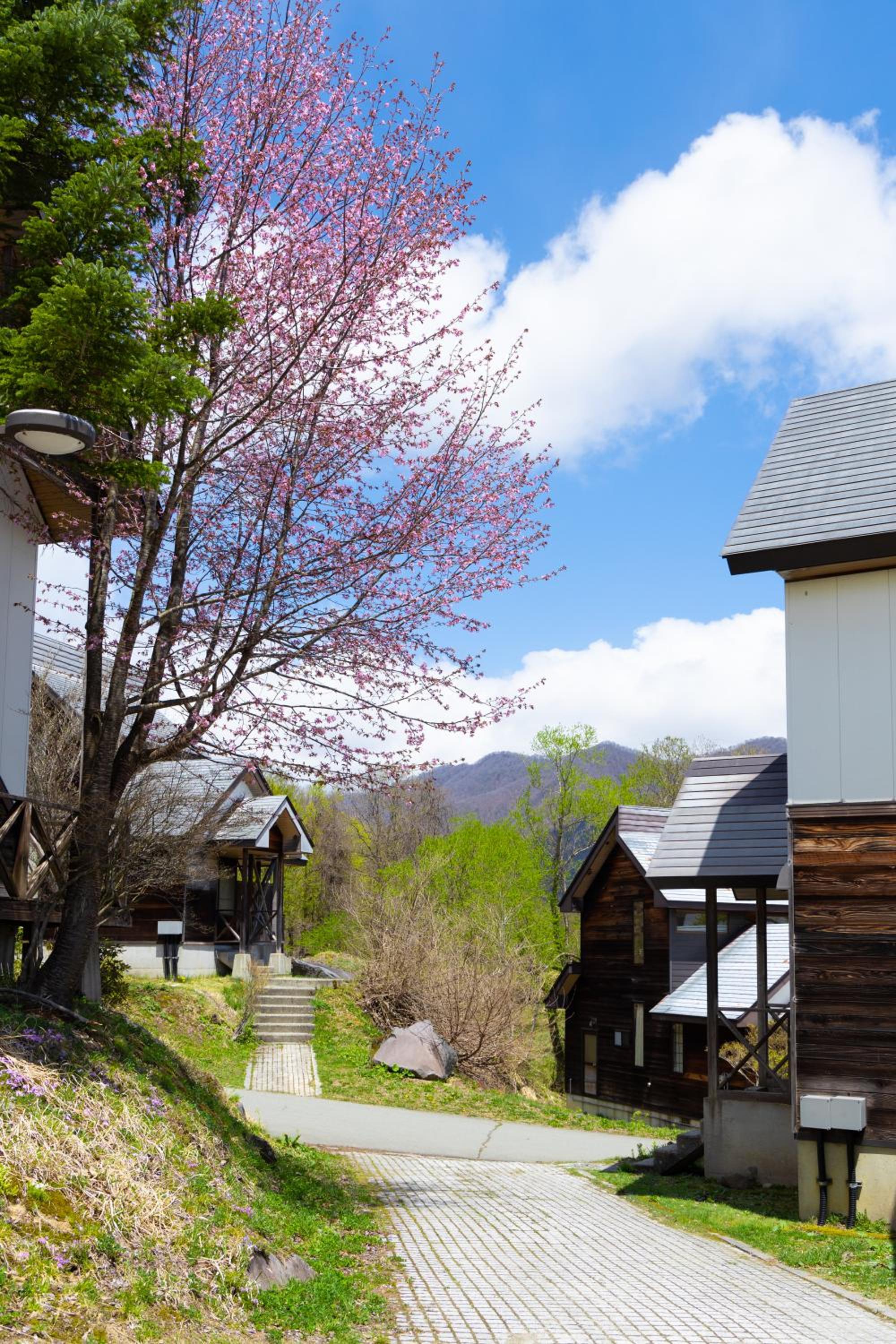 Nature Cottage Akabeko