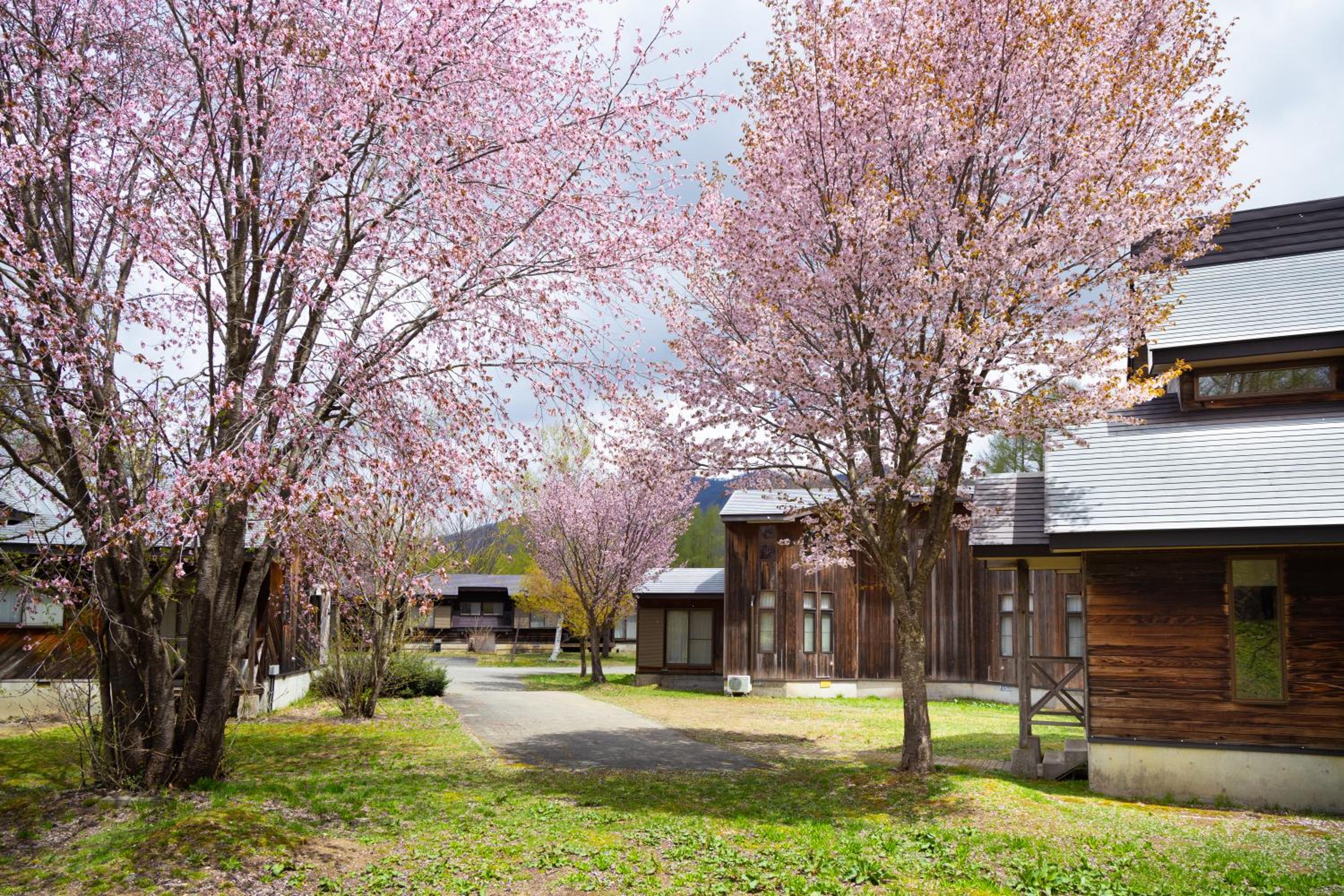Nature Cottage Akabeko