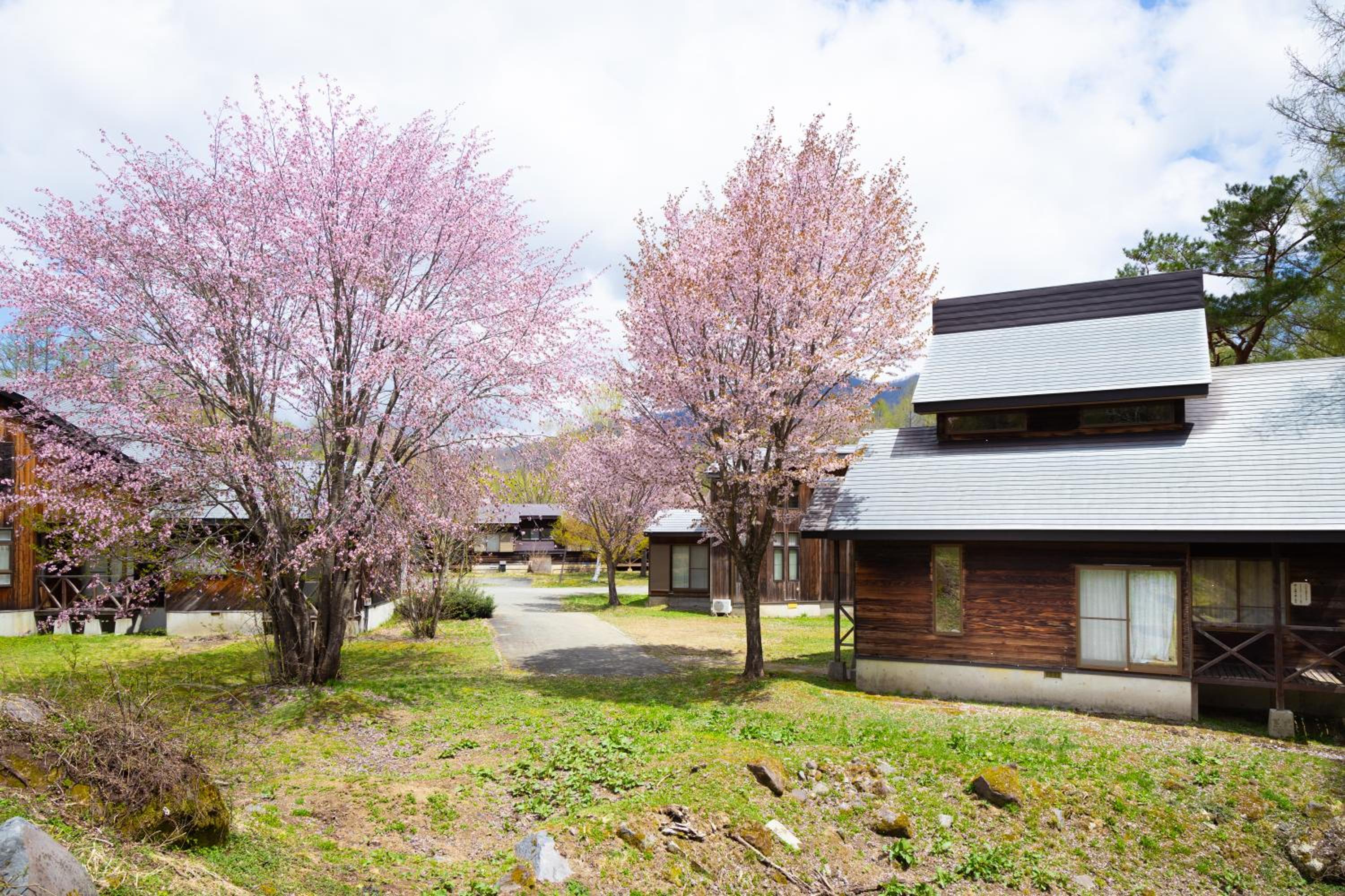 Nature Cottage Akabeko