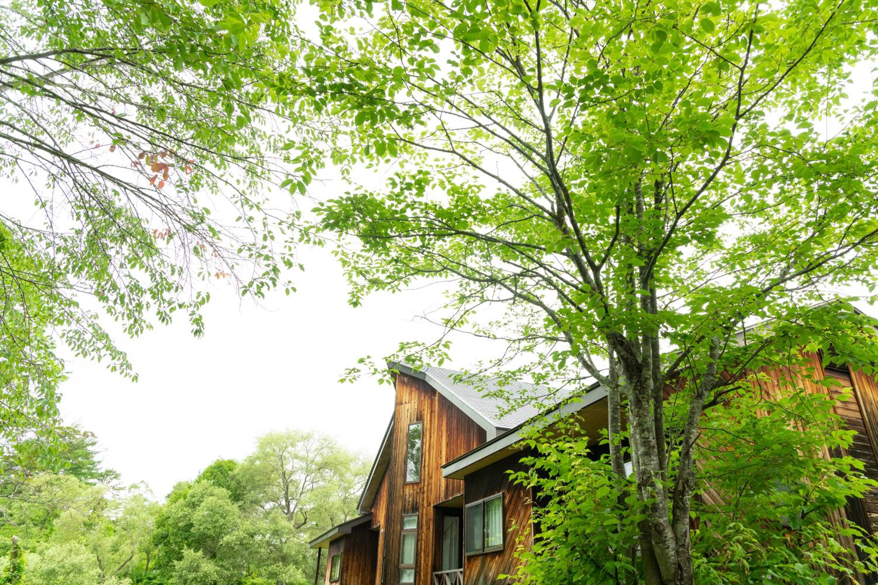 Nature Cottage Akabeko