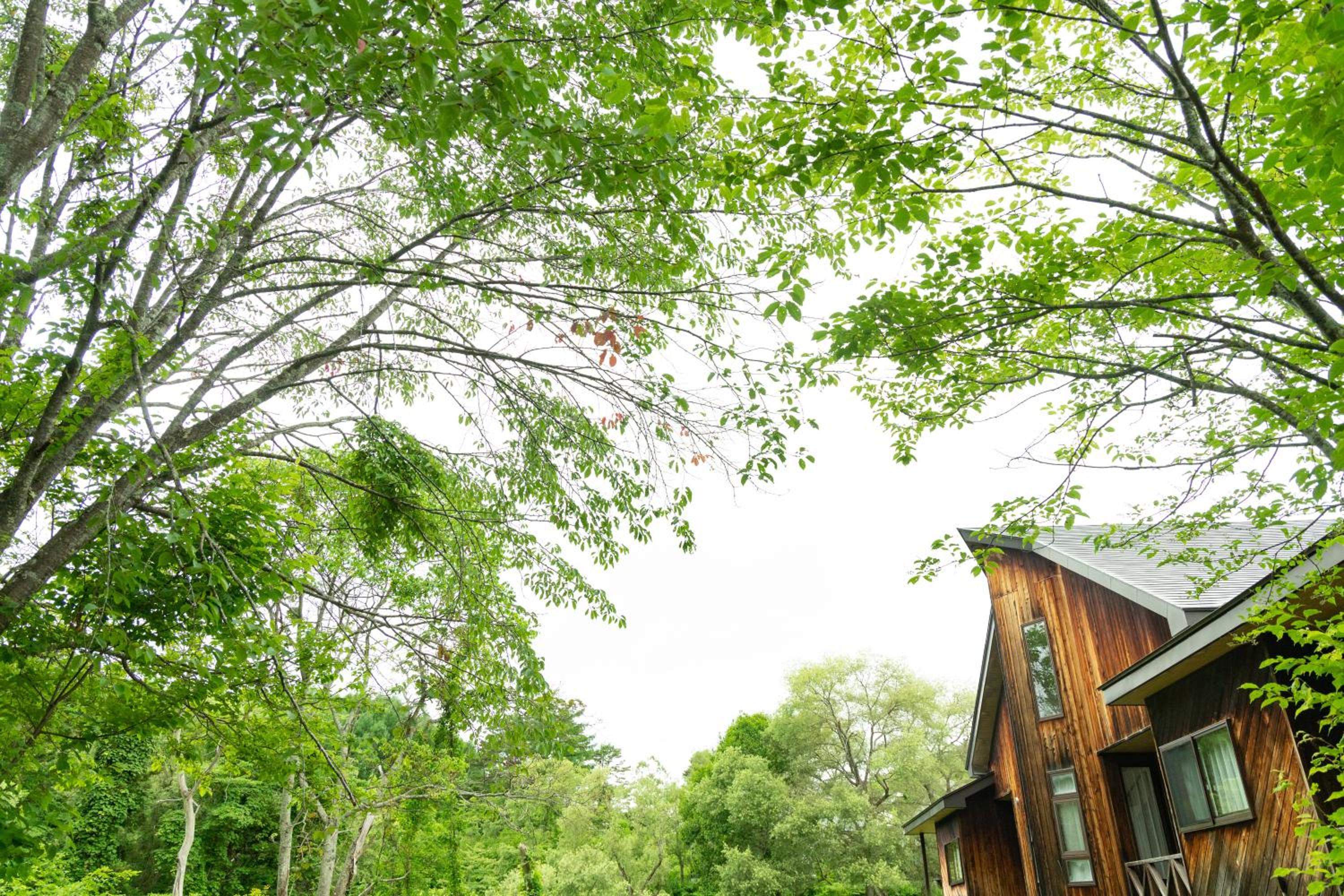 Nature Cottage Akabeko