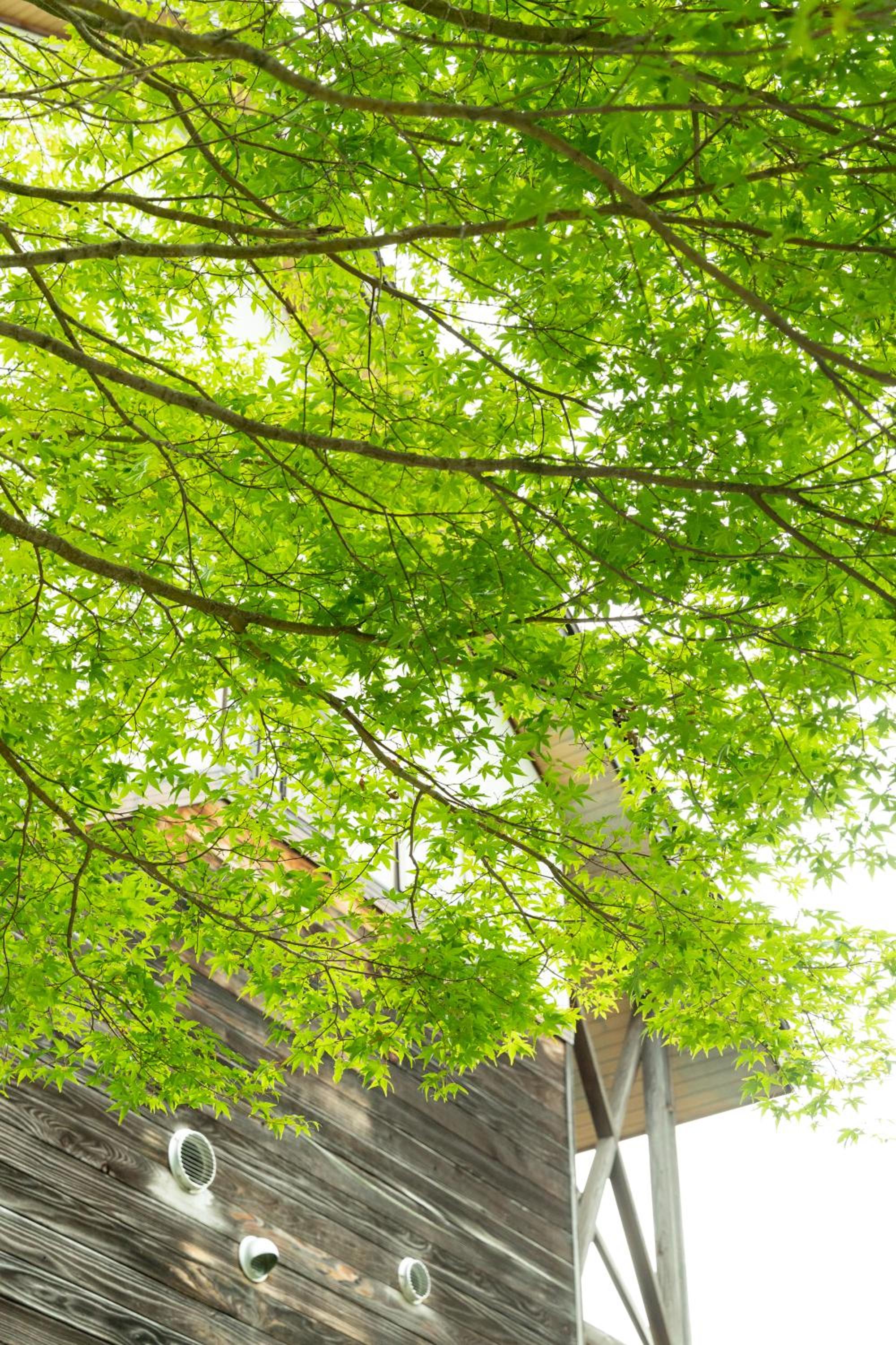 Nature Cottage Akabeko