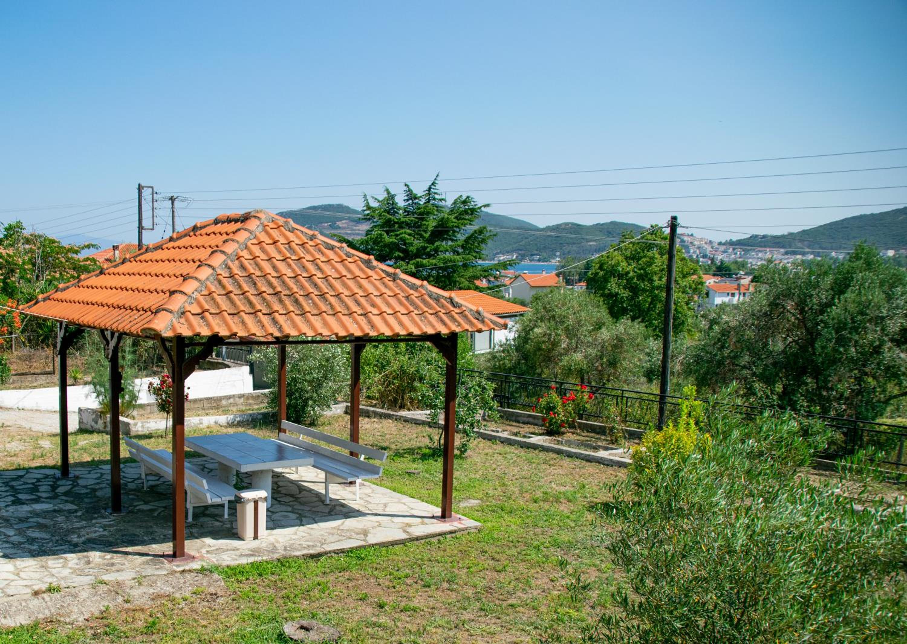 Photo 41