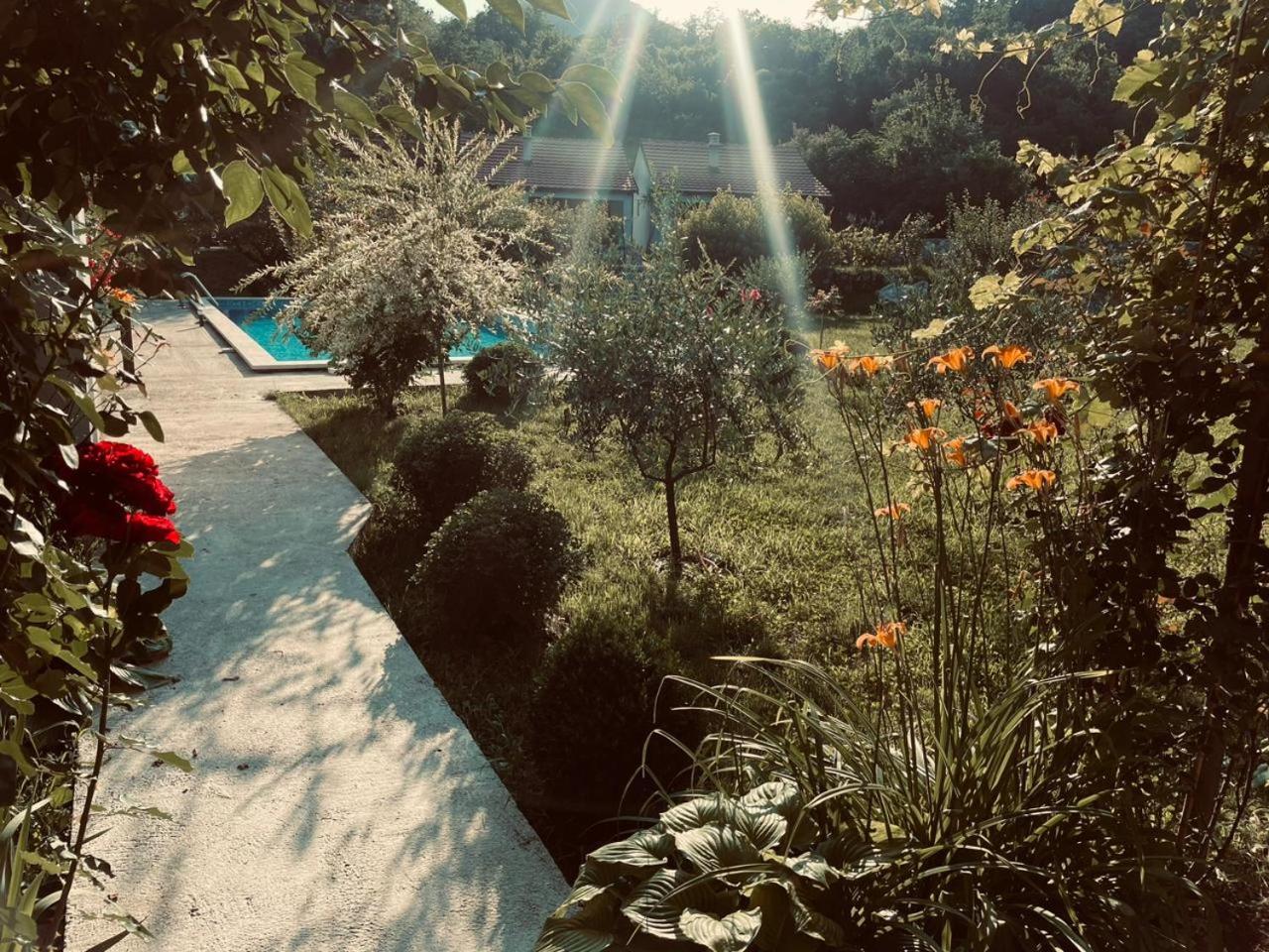 Photo 19