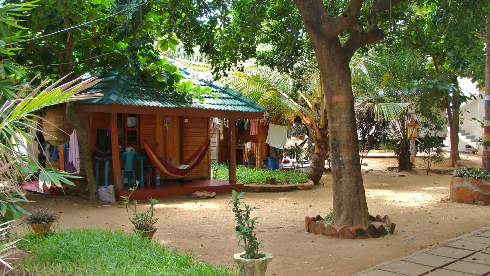 Photo 8