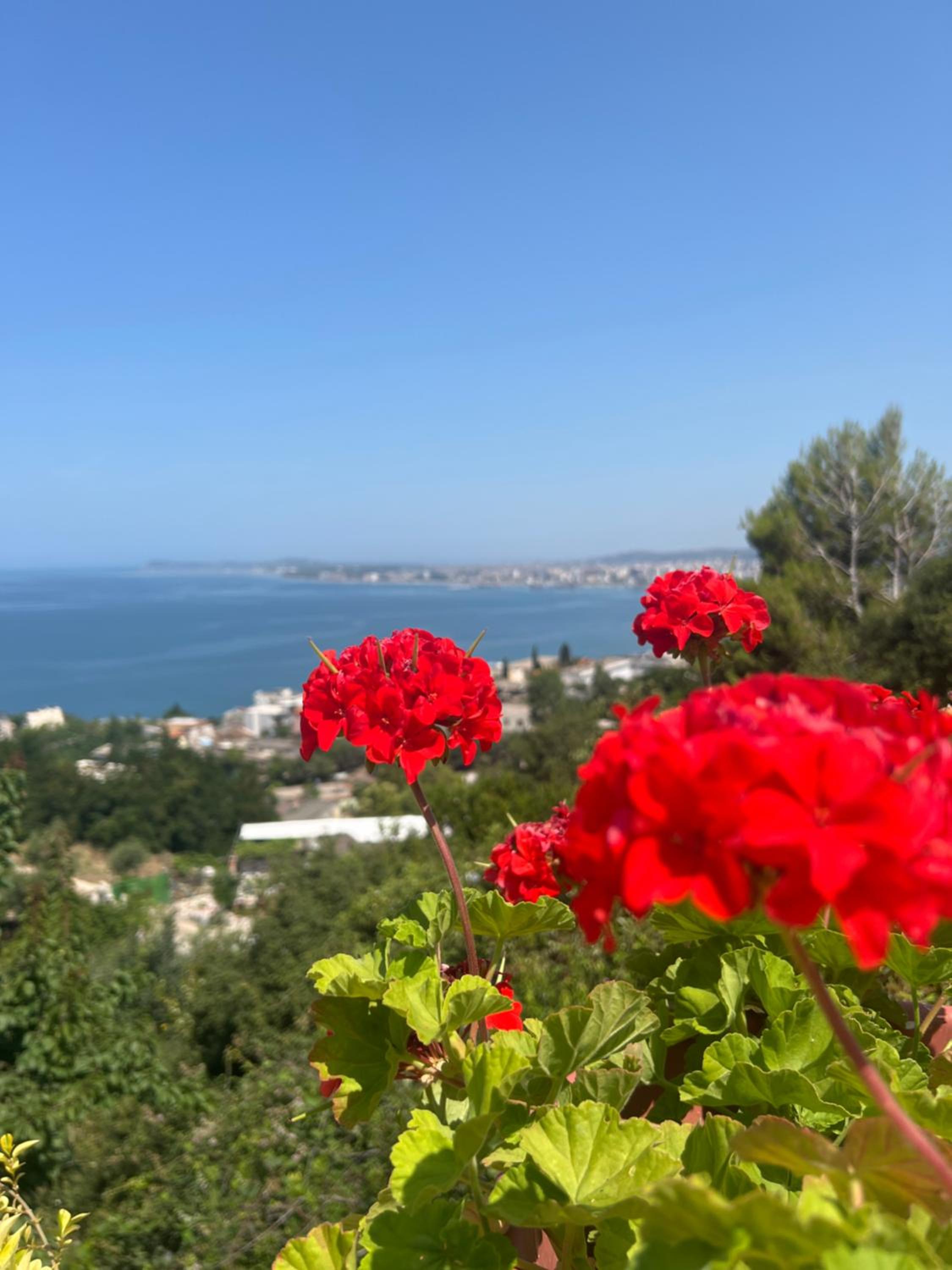 Sea view Apartments