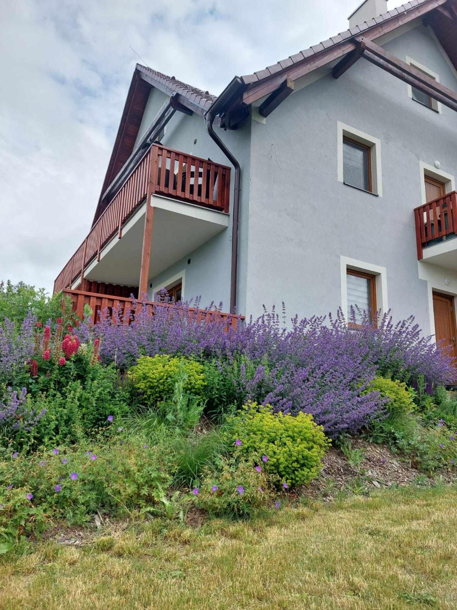 Apartmán Felix