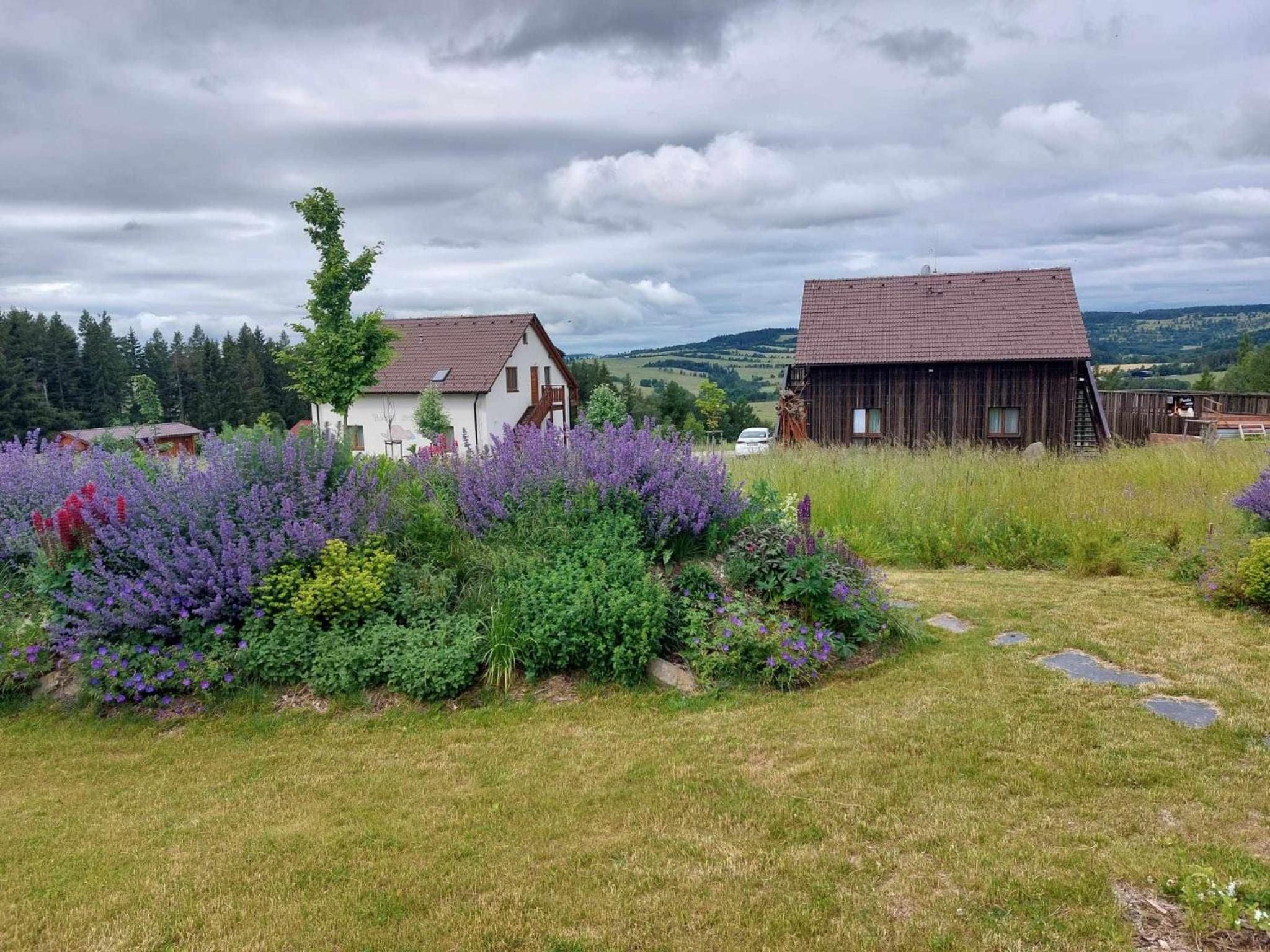 Apartmán Felix