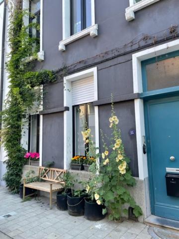 Studio Dageraad view 5