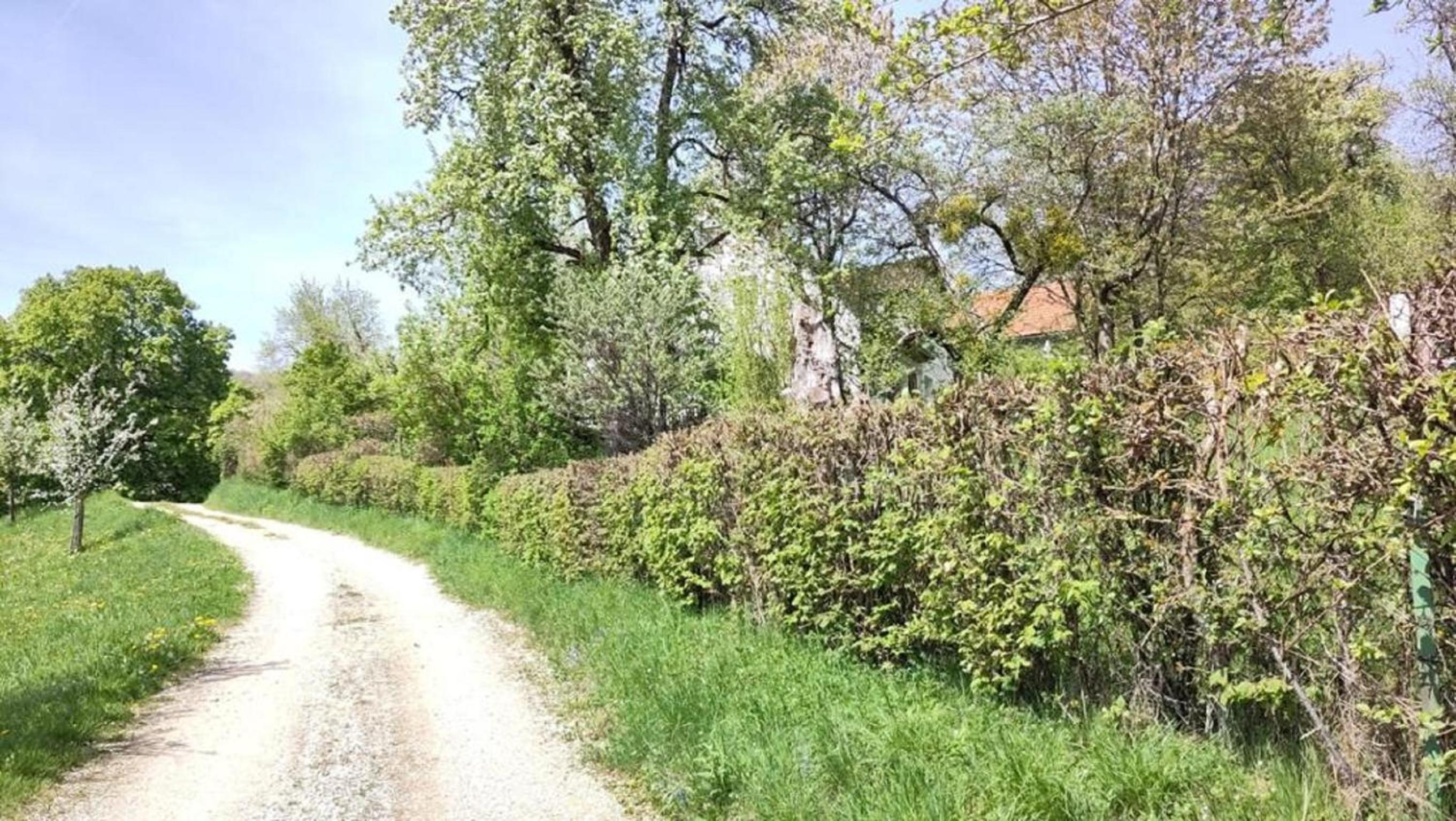Naturparadies am Sonntagberg