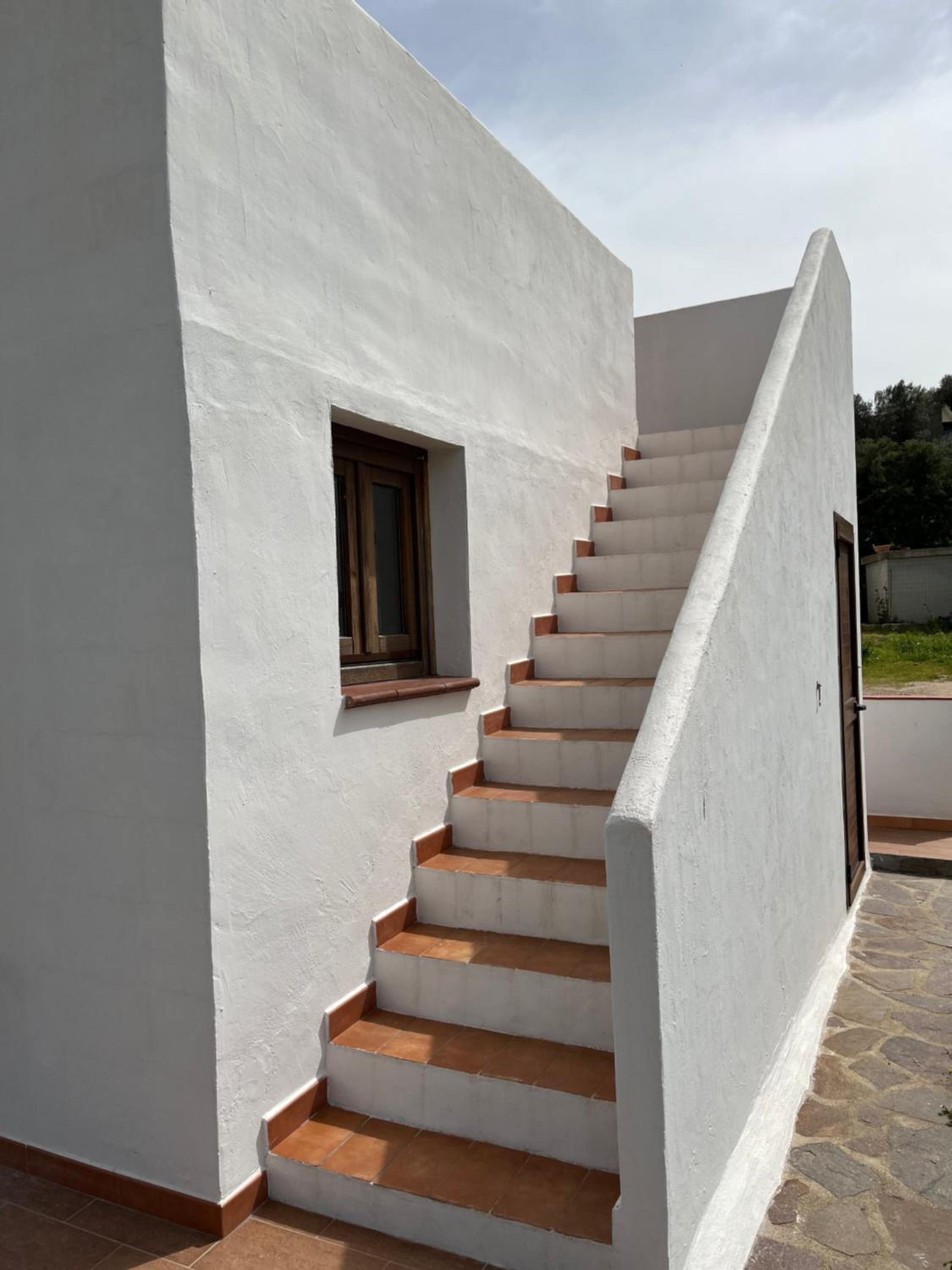 La casa nell'oliveto view 4