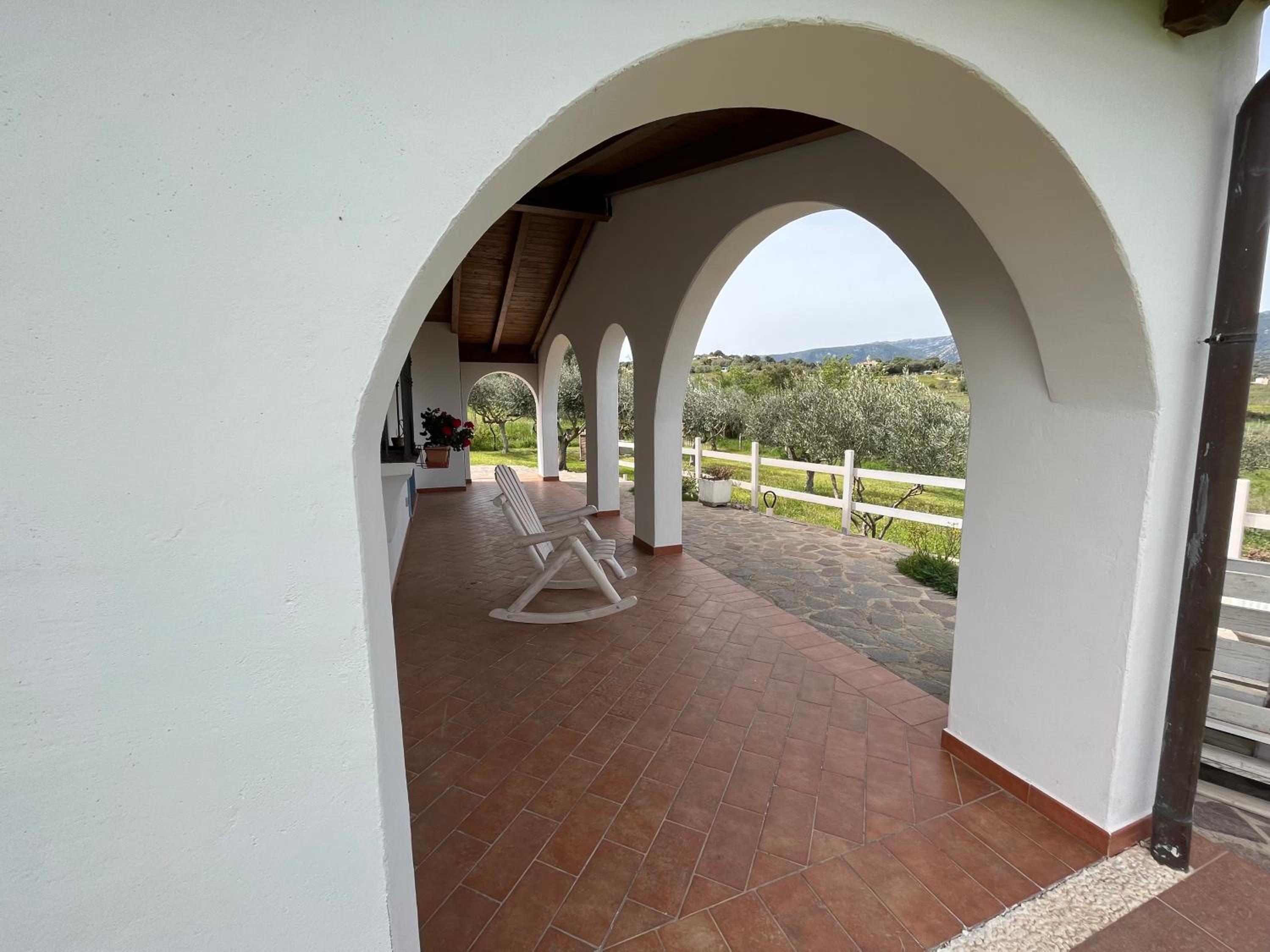 La casa nell'oliveto view 2