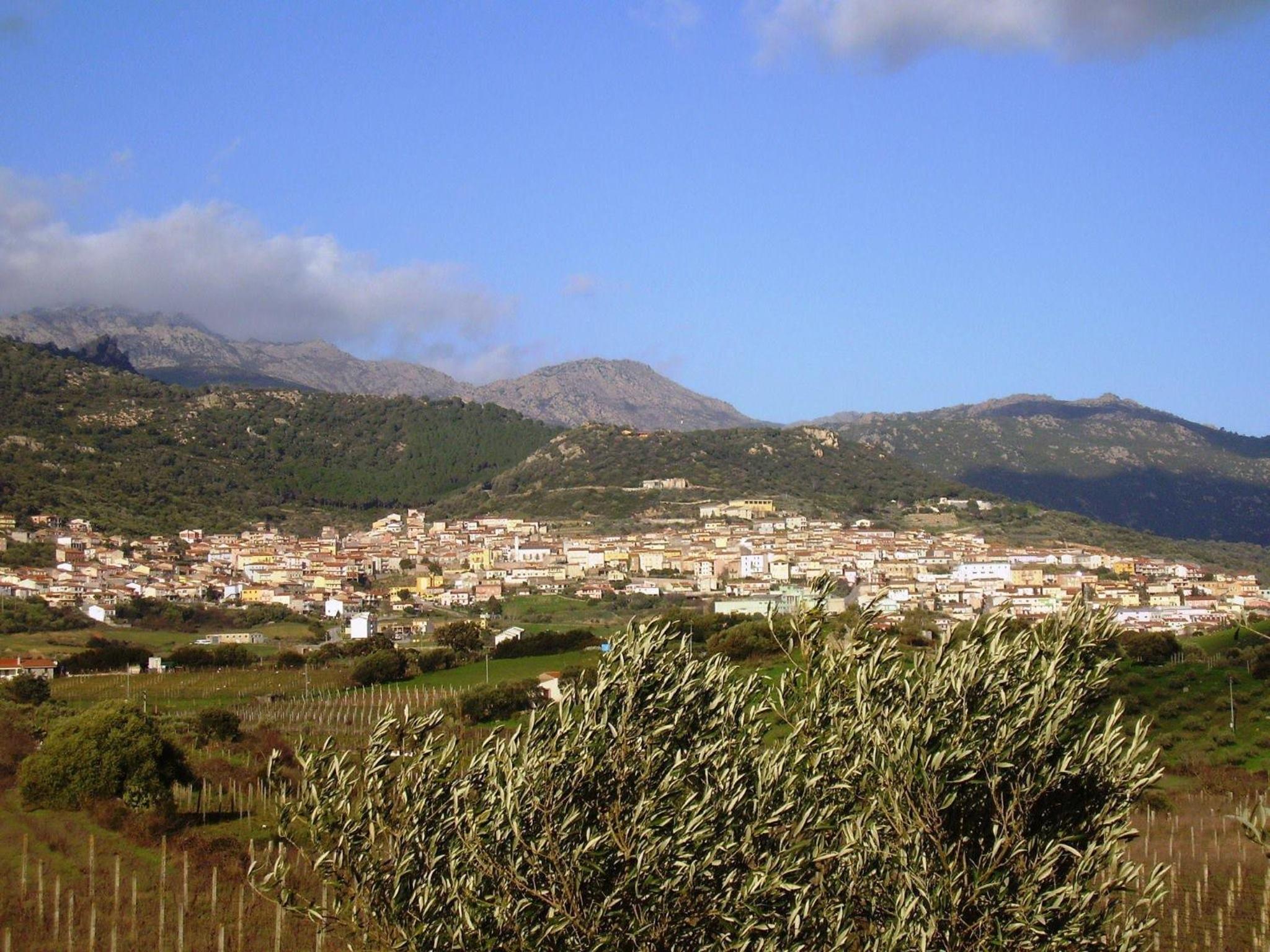 Photo 10