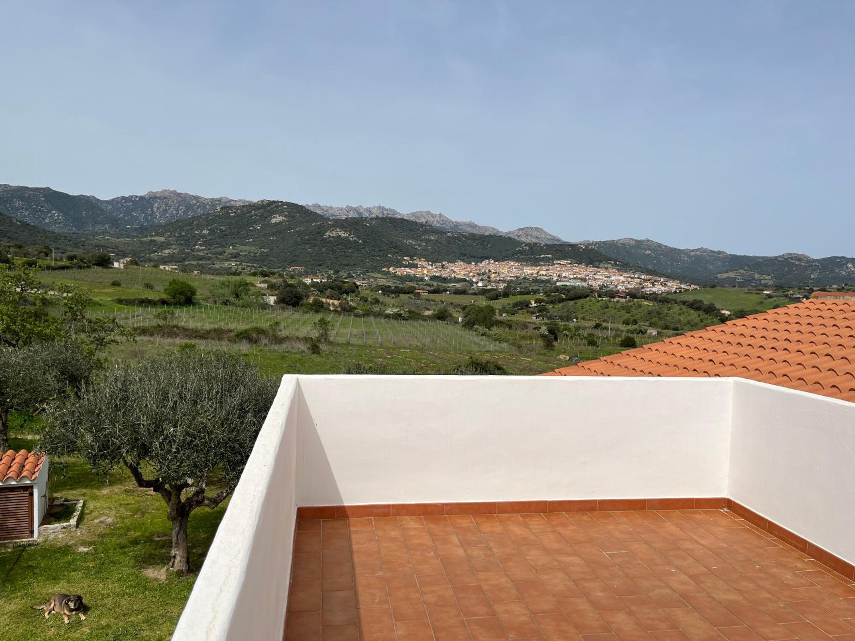 La casa nell'oliveto view 5