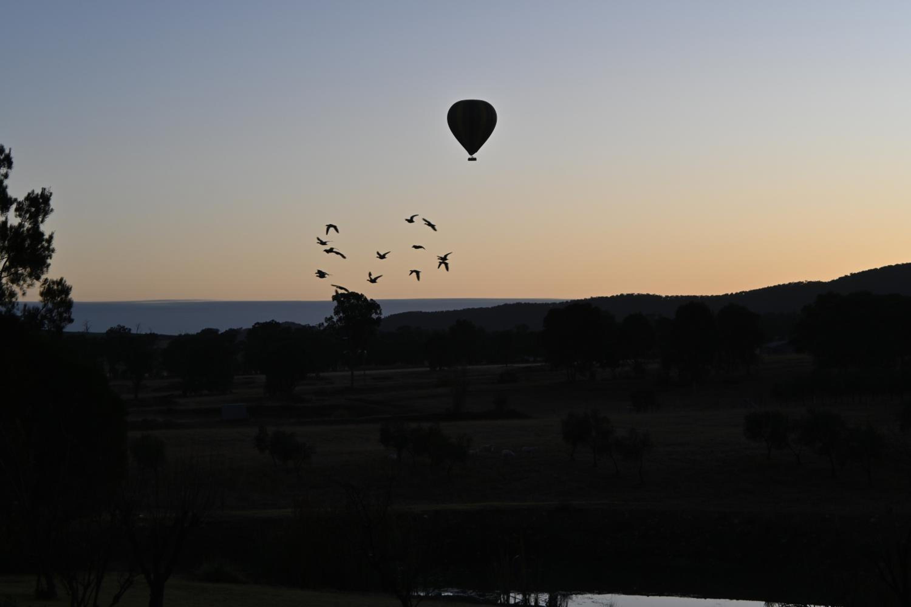 Grattai Grove Mudgee