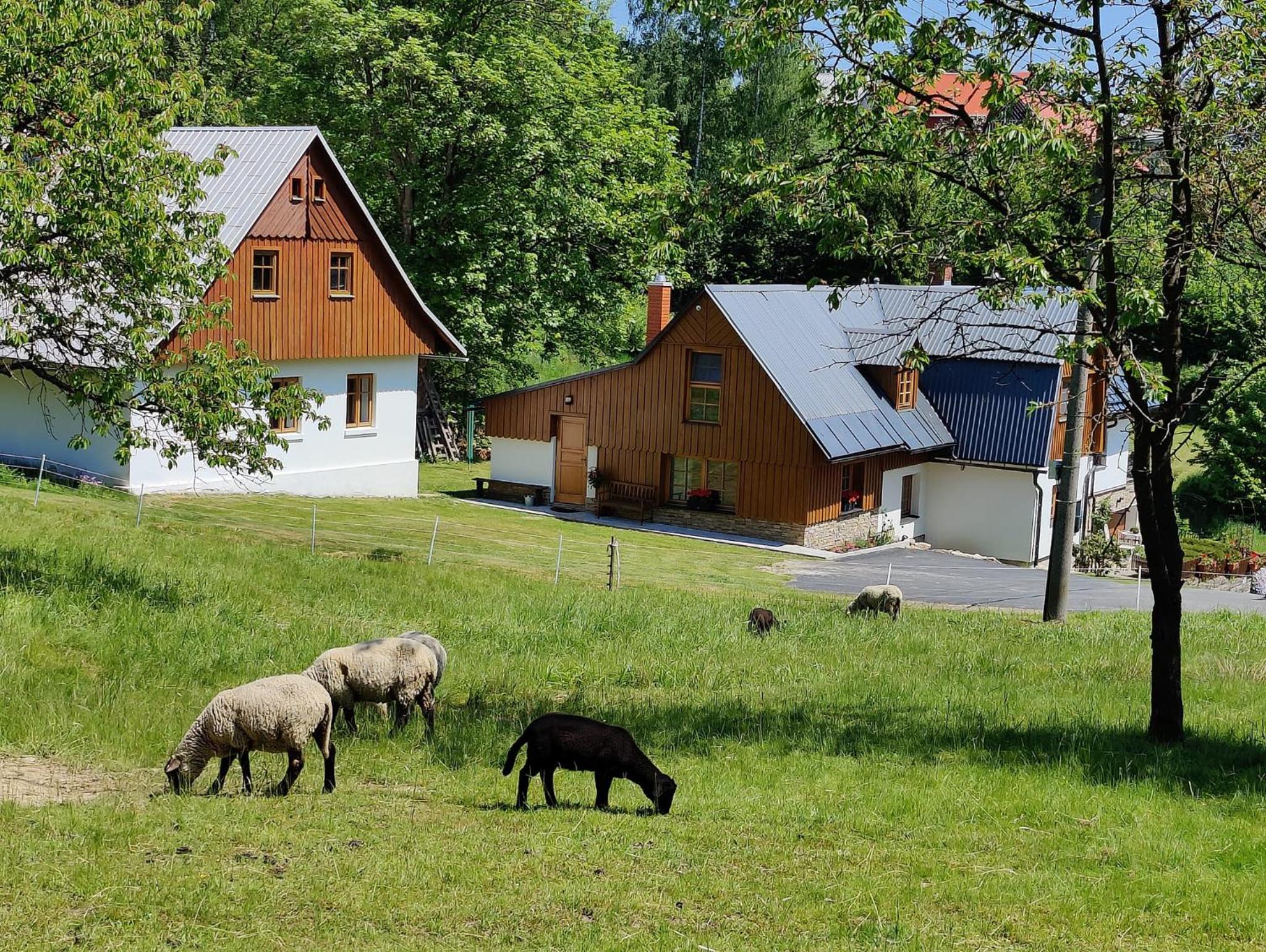 Luxusní apt Hory 7 v Krkonoších