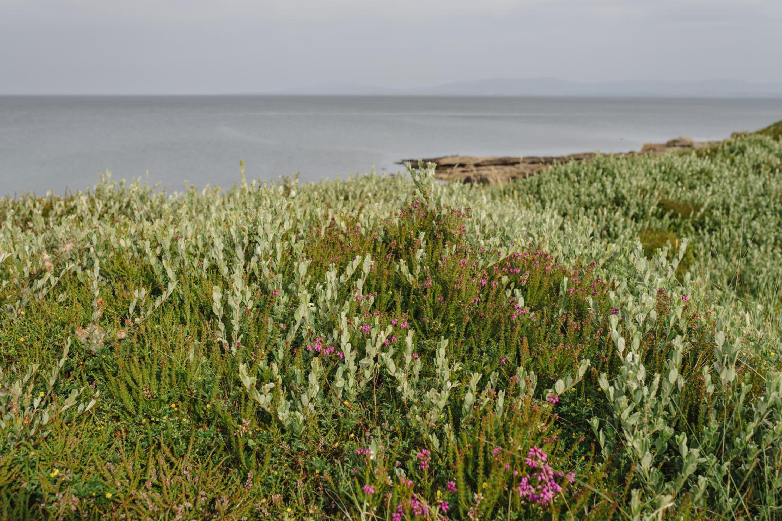 Photo 46