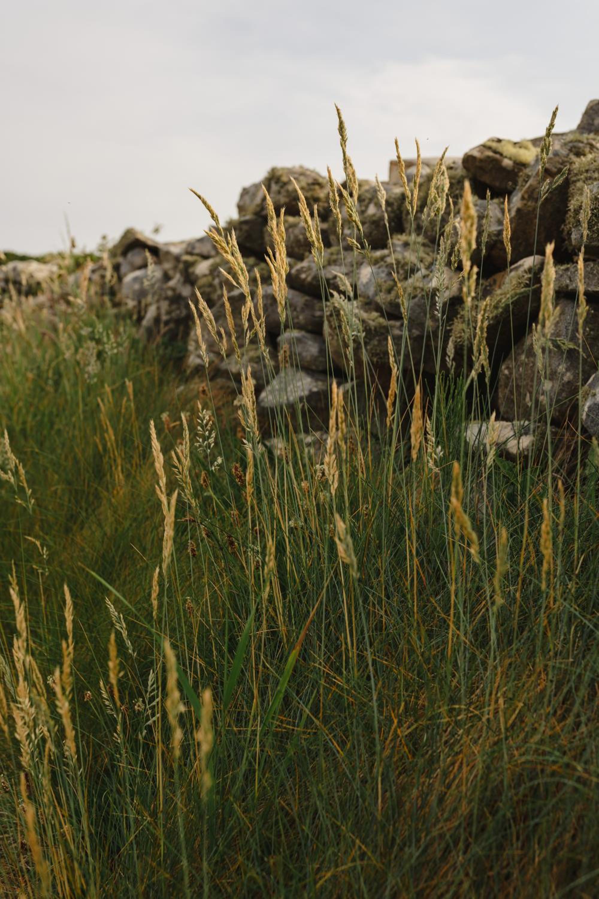 Photo 49