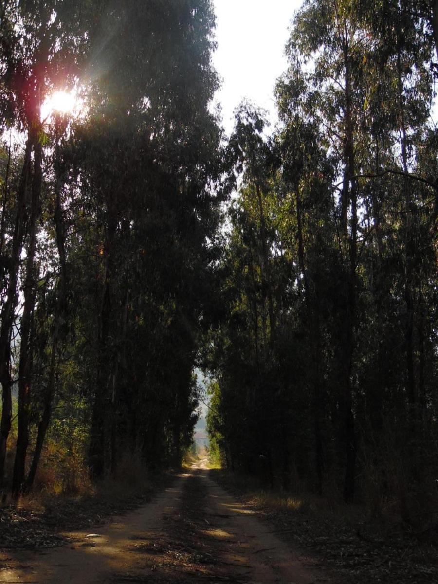Photo 42