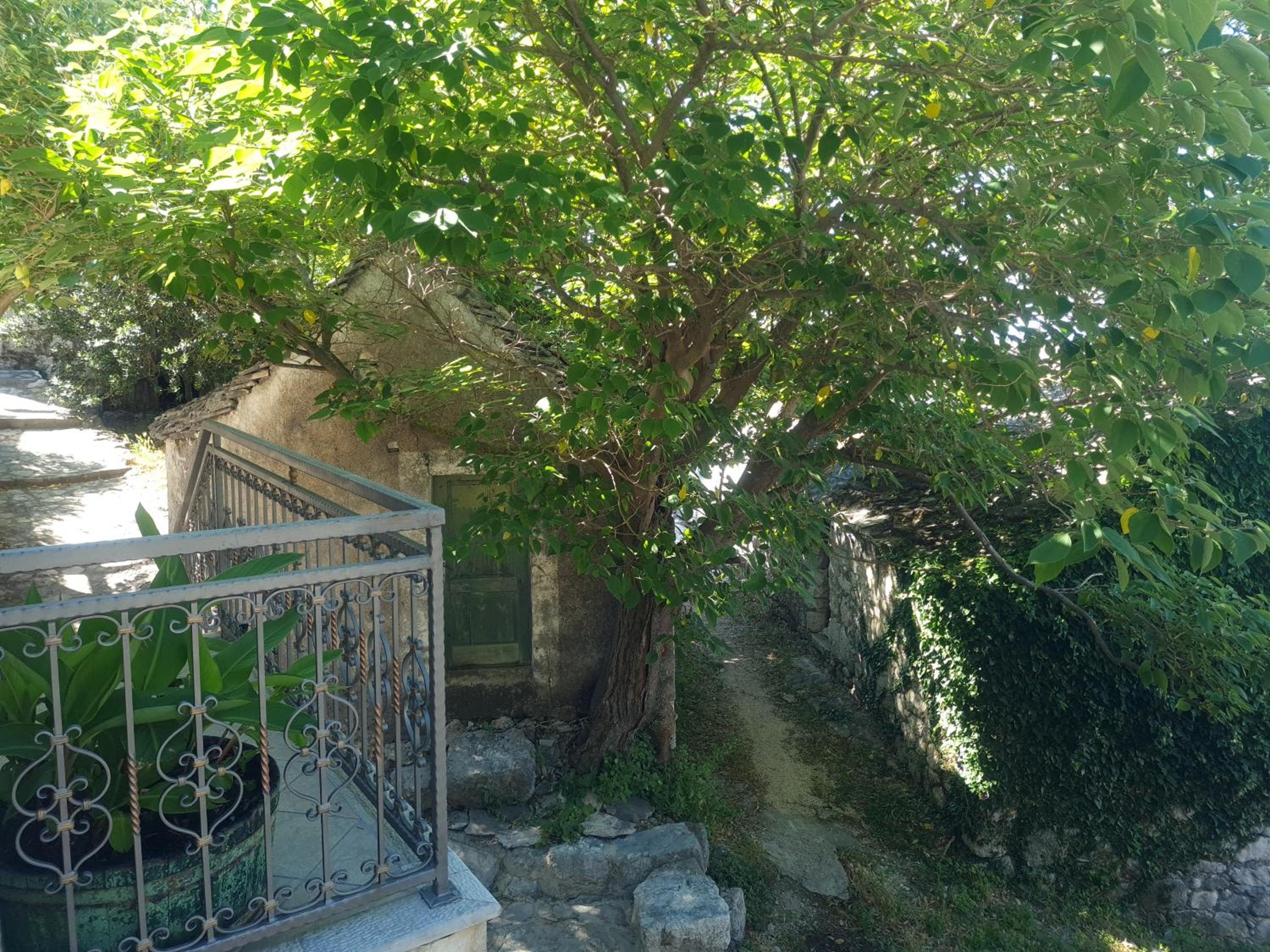 Photo 16