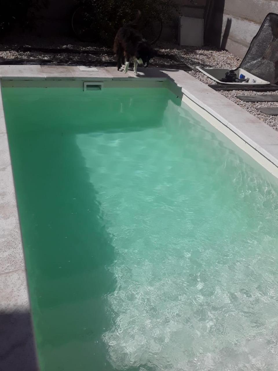 CASA YOSELI