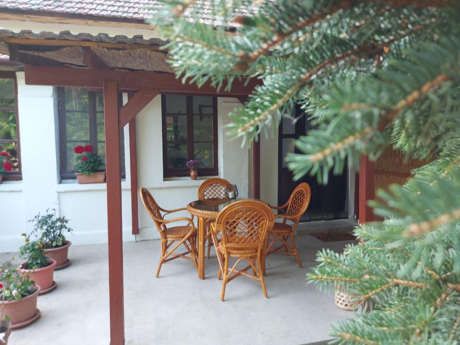 Tisza-tavi Kiserdő Vendégház view 2