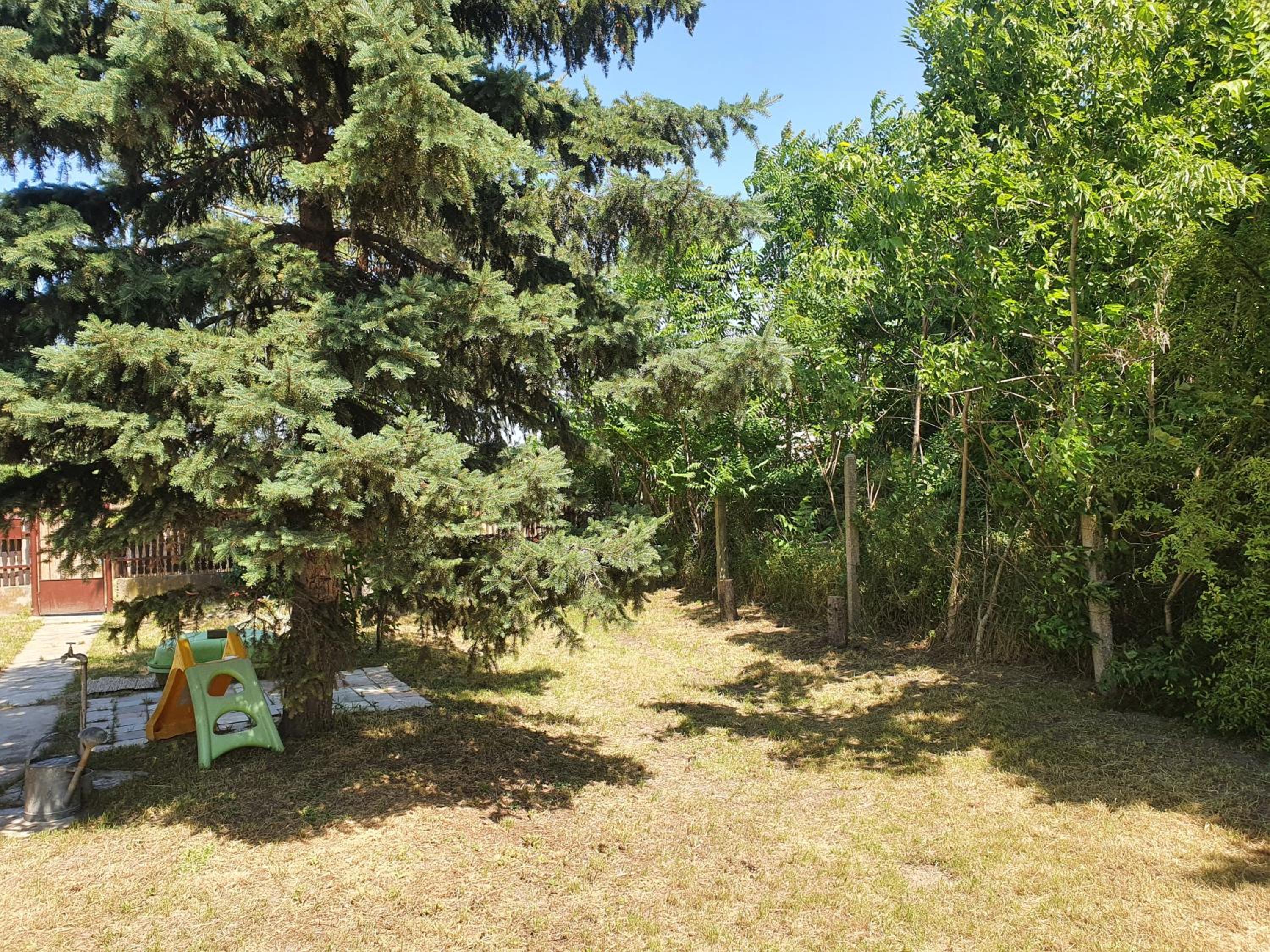 Photo 40