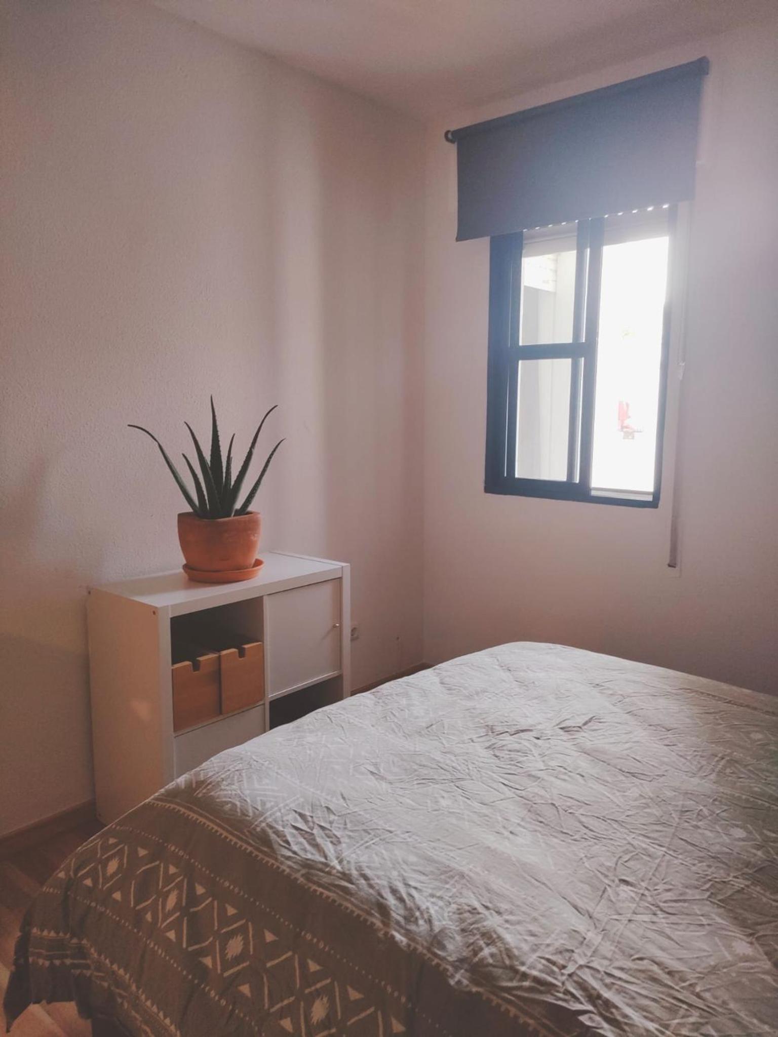 APARTAMENTO SEGUNDA PLANTA