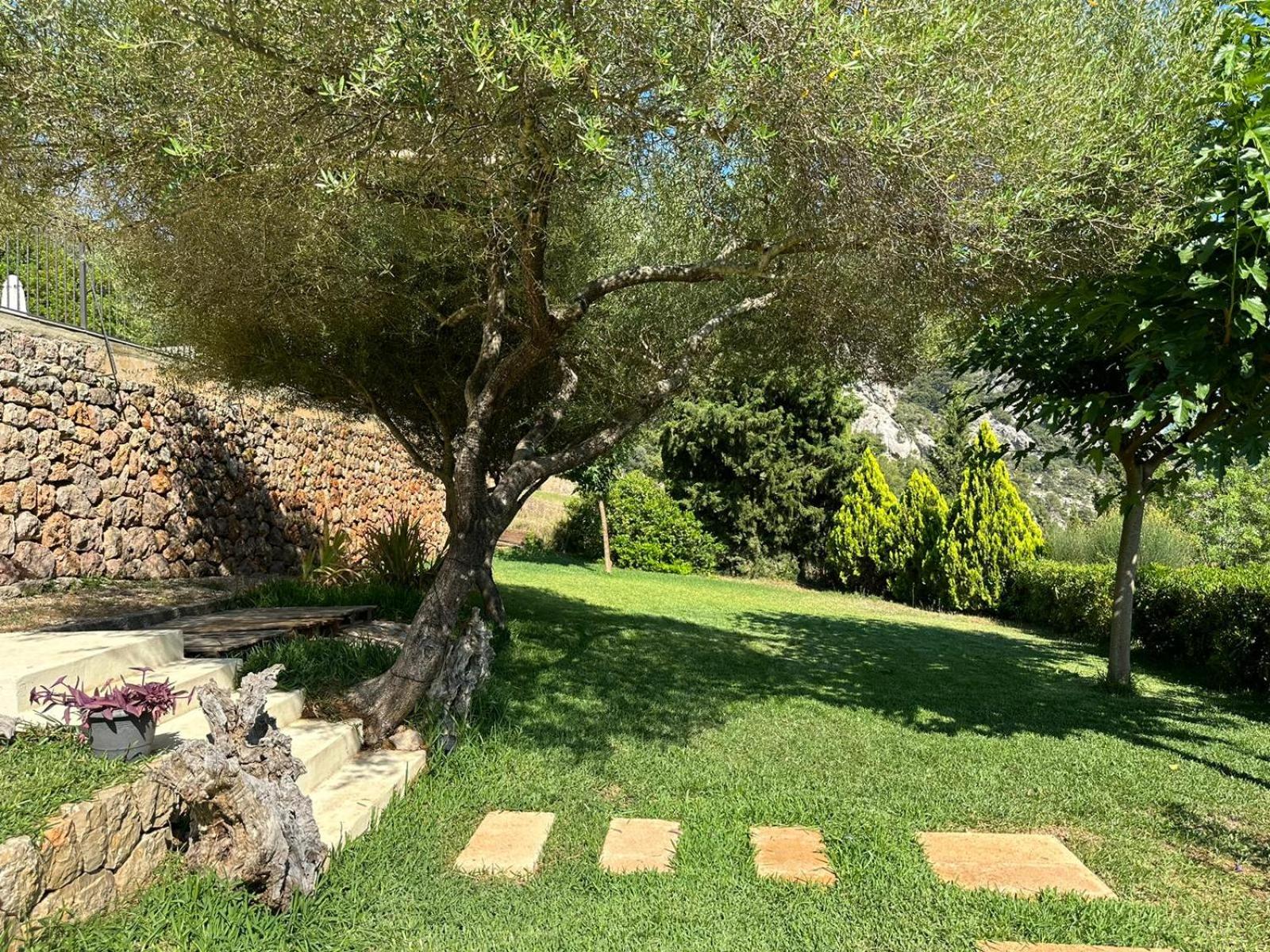 Villa Sestret By LeMón Holiday view 2