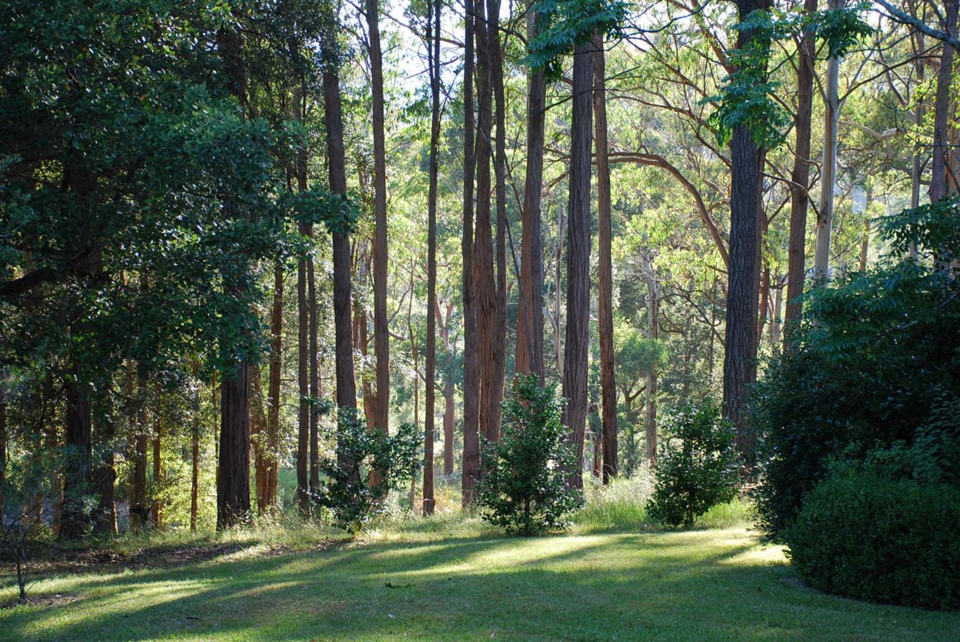 The Bower at Wildside Sanctuary