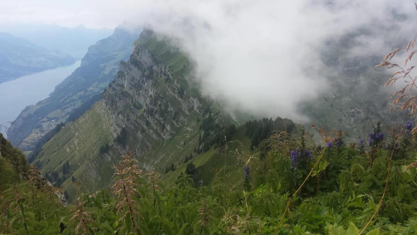 HERZLI-CHALET über dem Rheintal mit Schlossblick