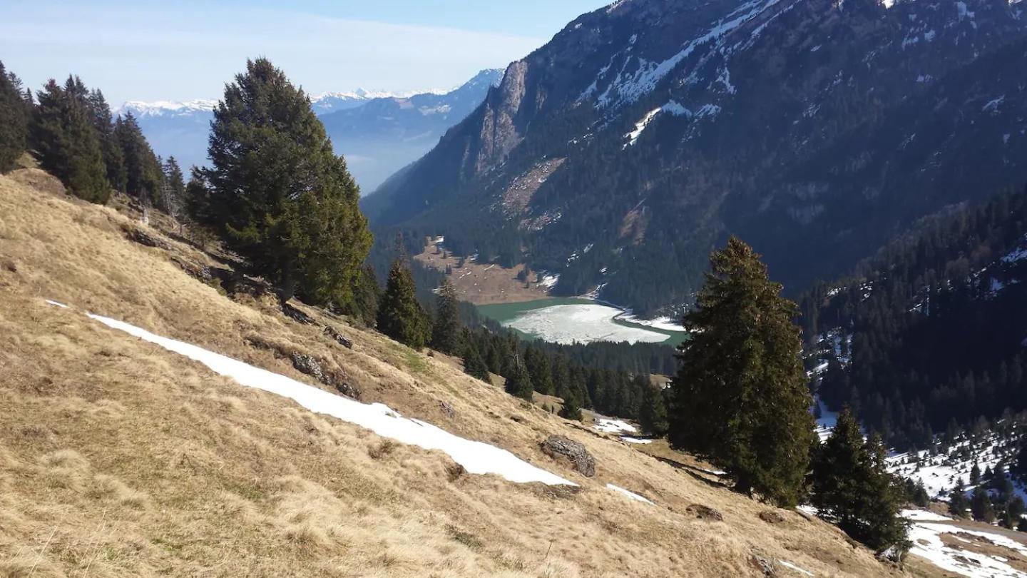 HERZLI-CHALET über dem Rheintal mit Schlossblick