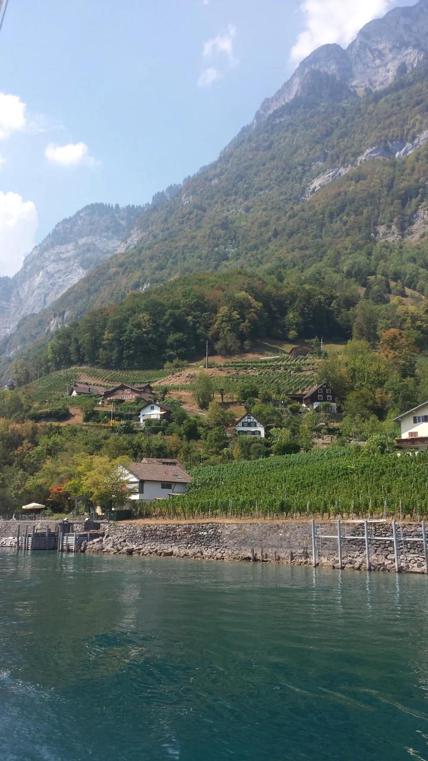 HERZLI-CHALET über dem Rheintal mit Schlossblick