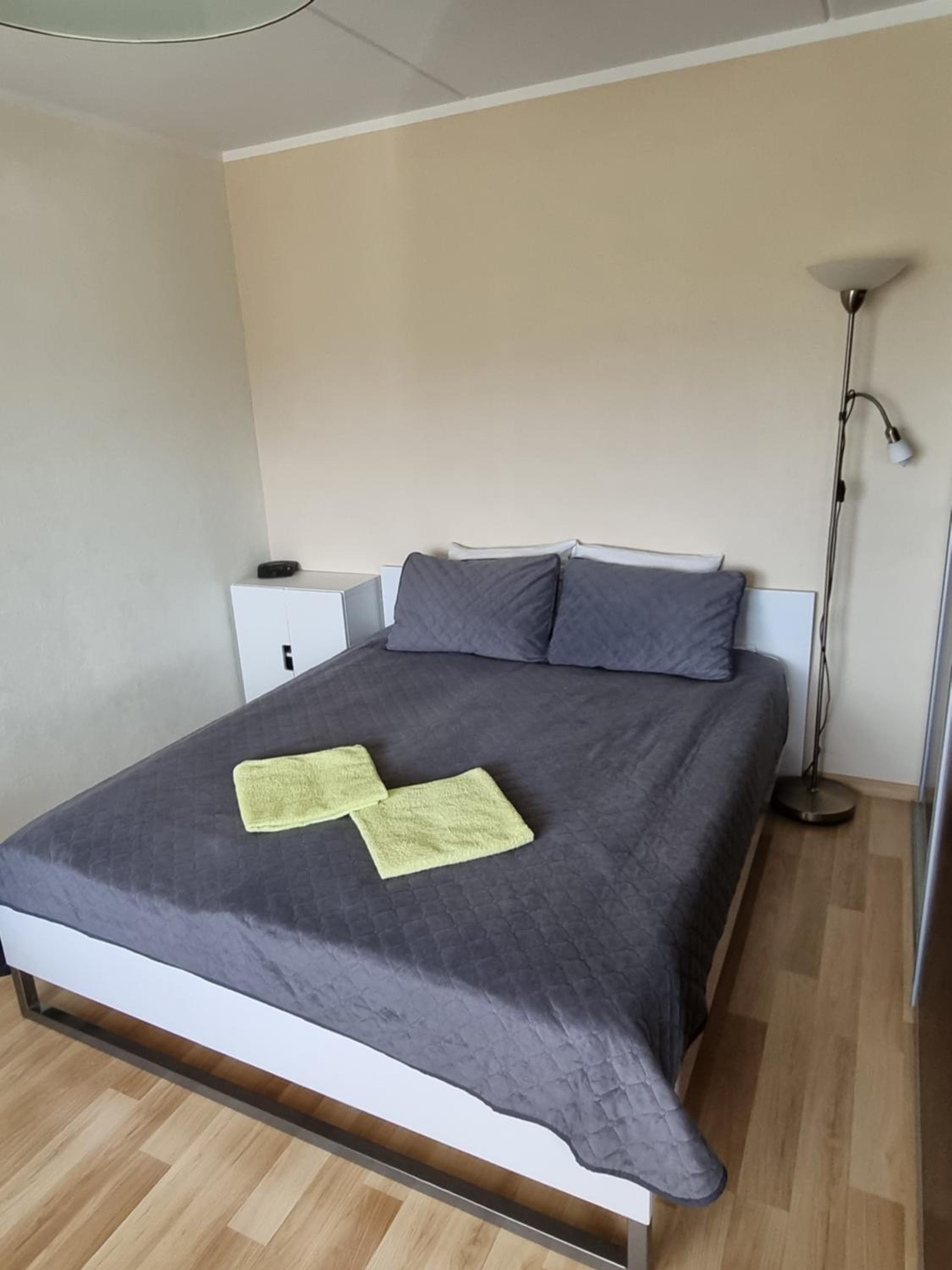 Cozy Sigulda Apartment view 5