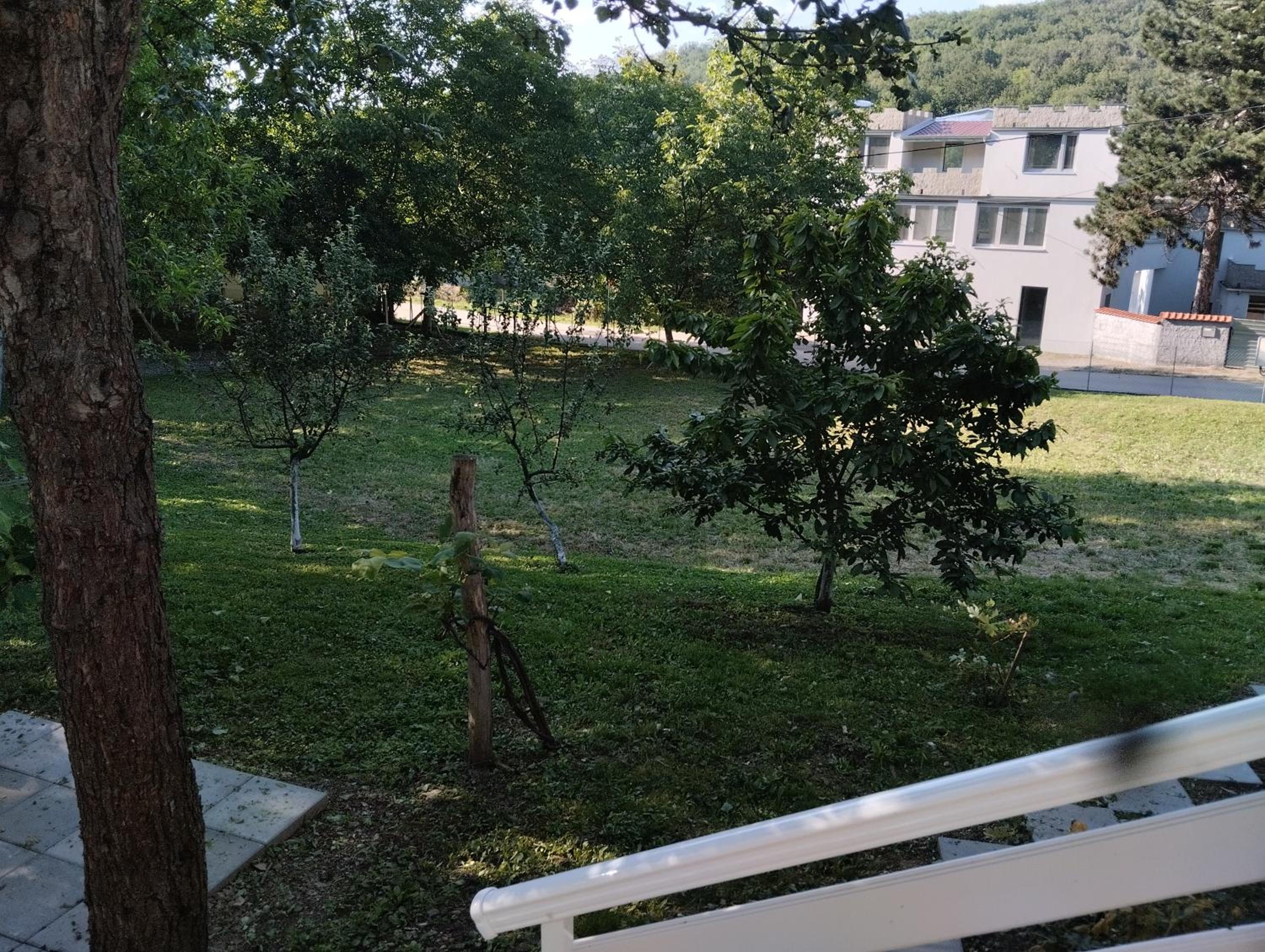Vitovnicki Mir