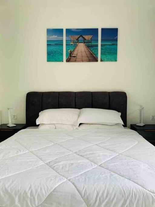Abbie's Private Pool Villa Bukit Mertajam Penang view 4