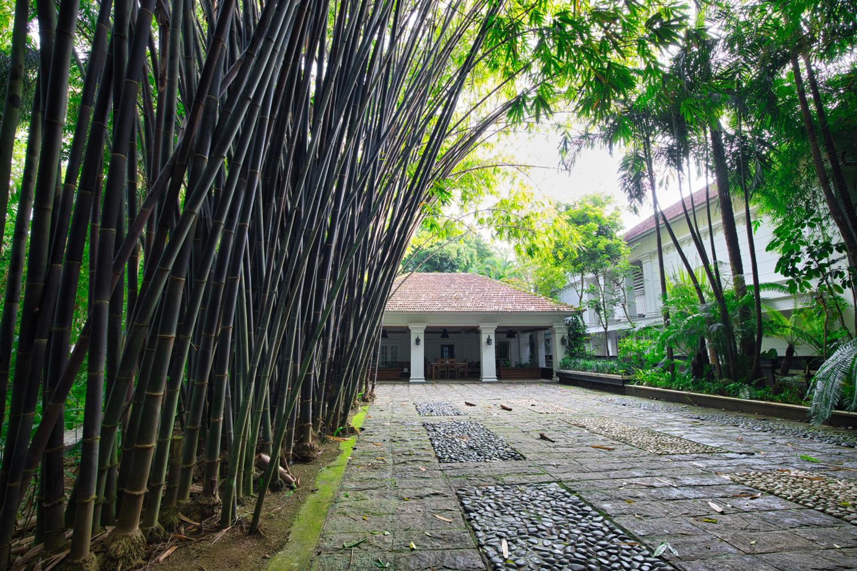 Softouch Ayurveda Village Kerala view 2