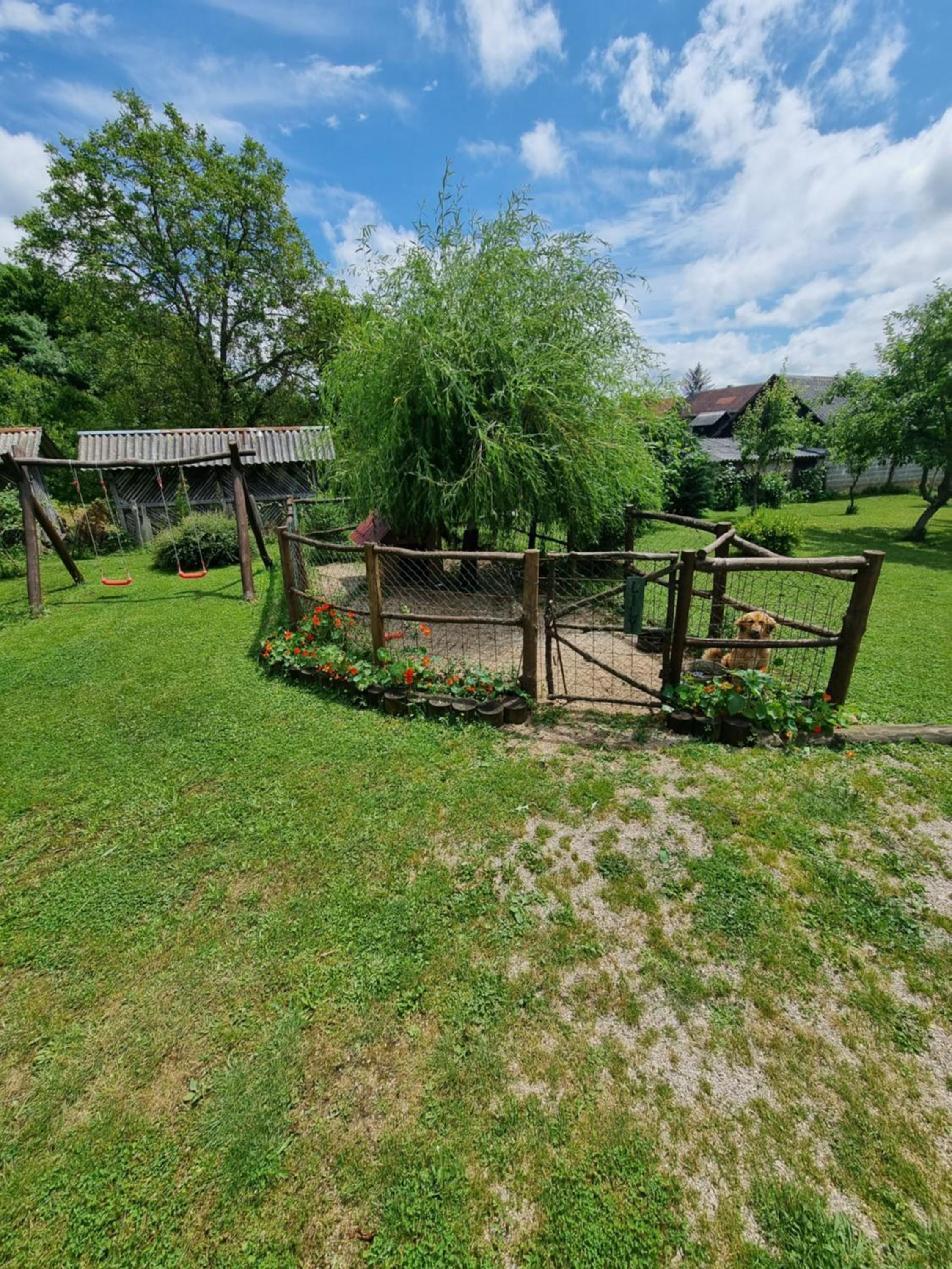 Photo 28