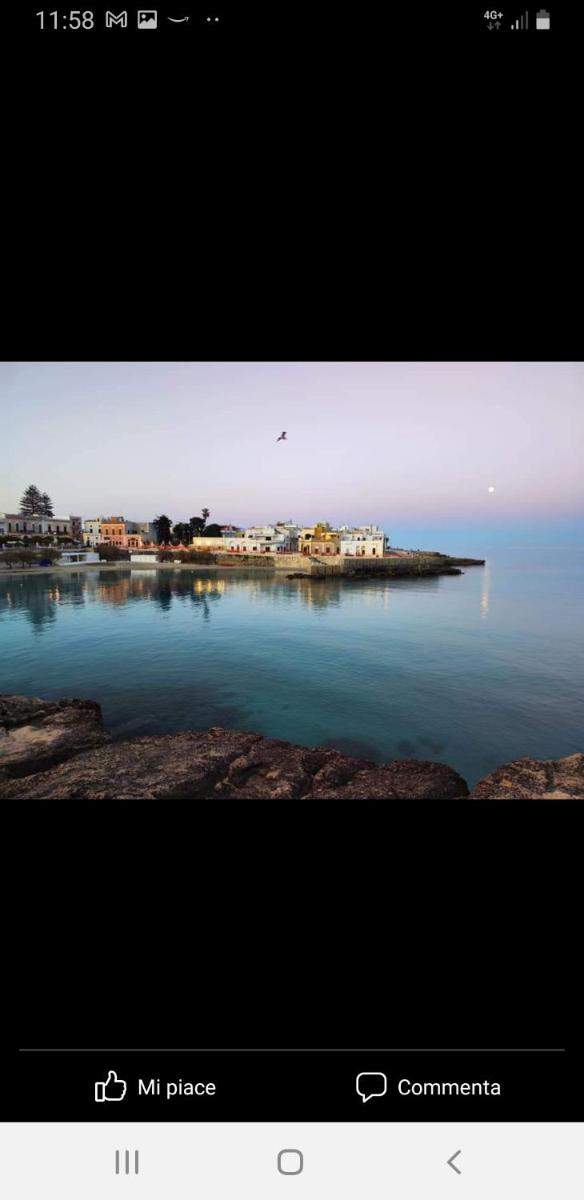 civico12 photo 2