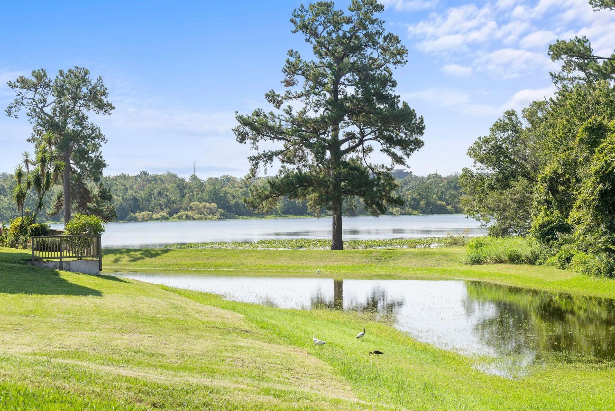 Fully Loaded 2/2 Condo in Altamonte Springs