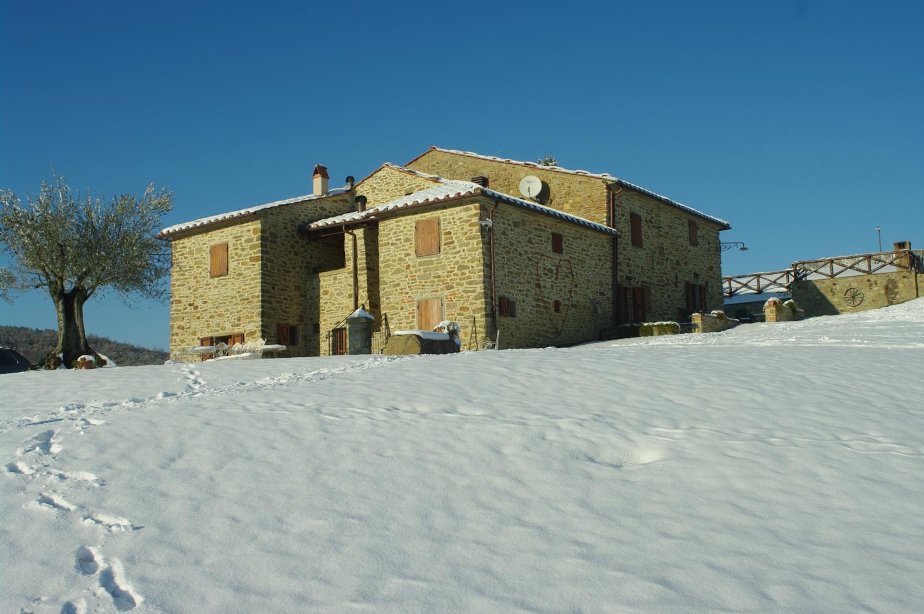 Photo 38