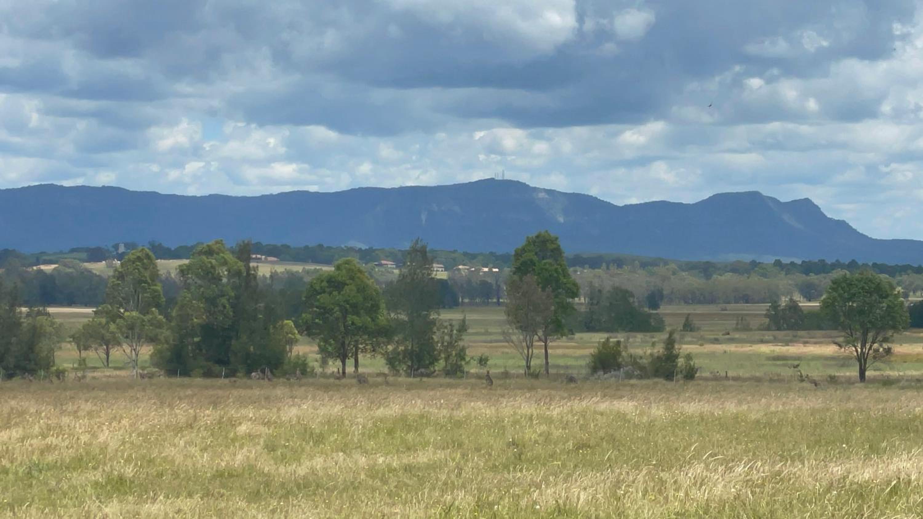 Talga Grove